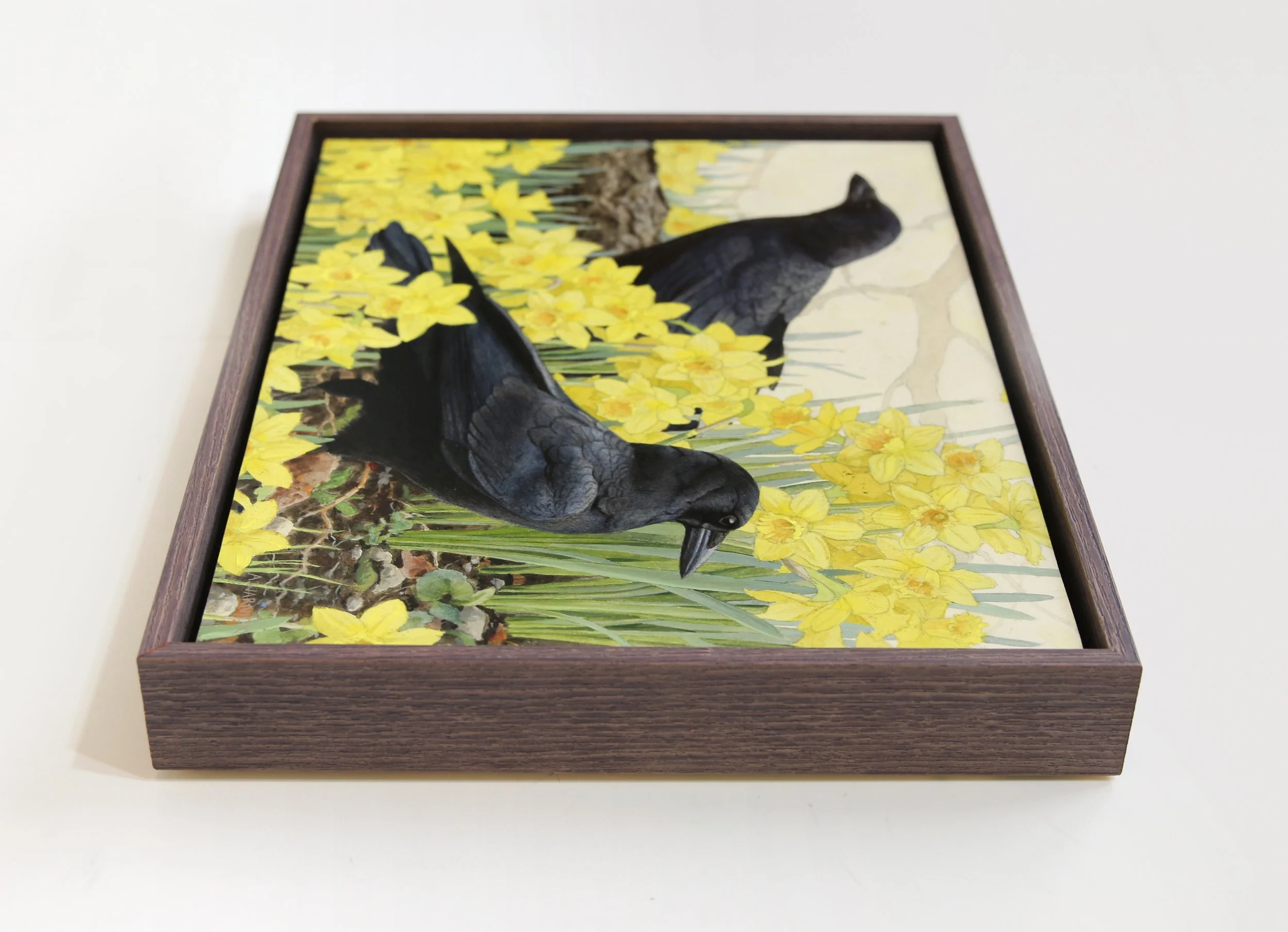American Crows Framed.jpg