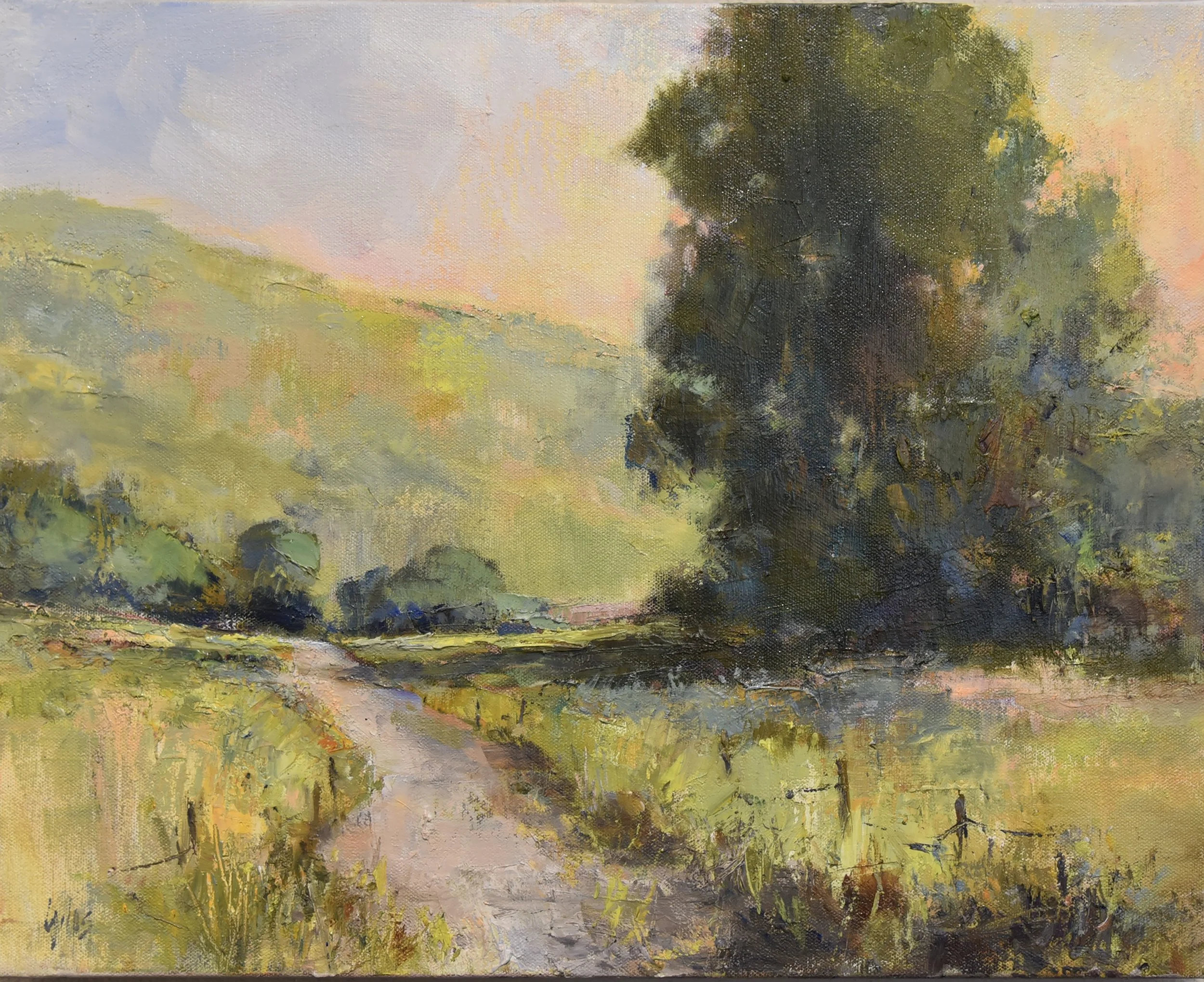 Kathy Gillis Some Extra Shade.jpg