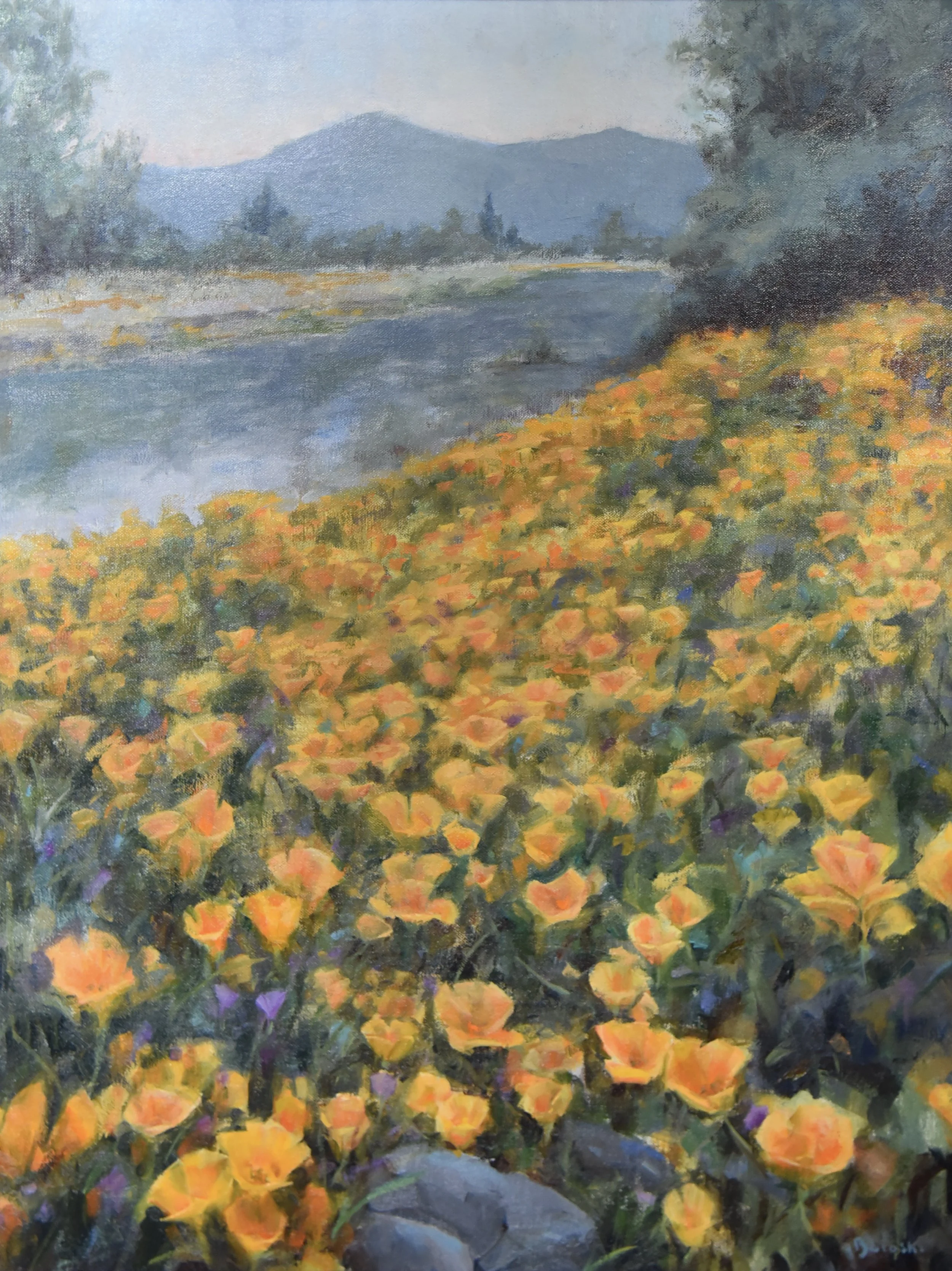 Super Bloom.jpg