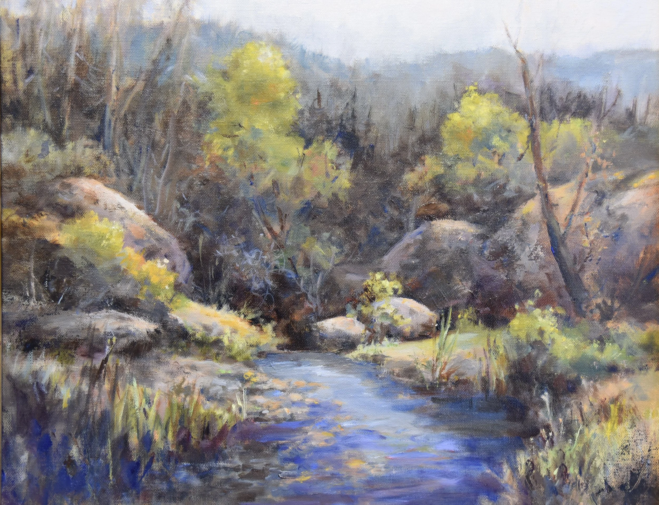 Colors of Fine Gold Creek.jpg