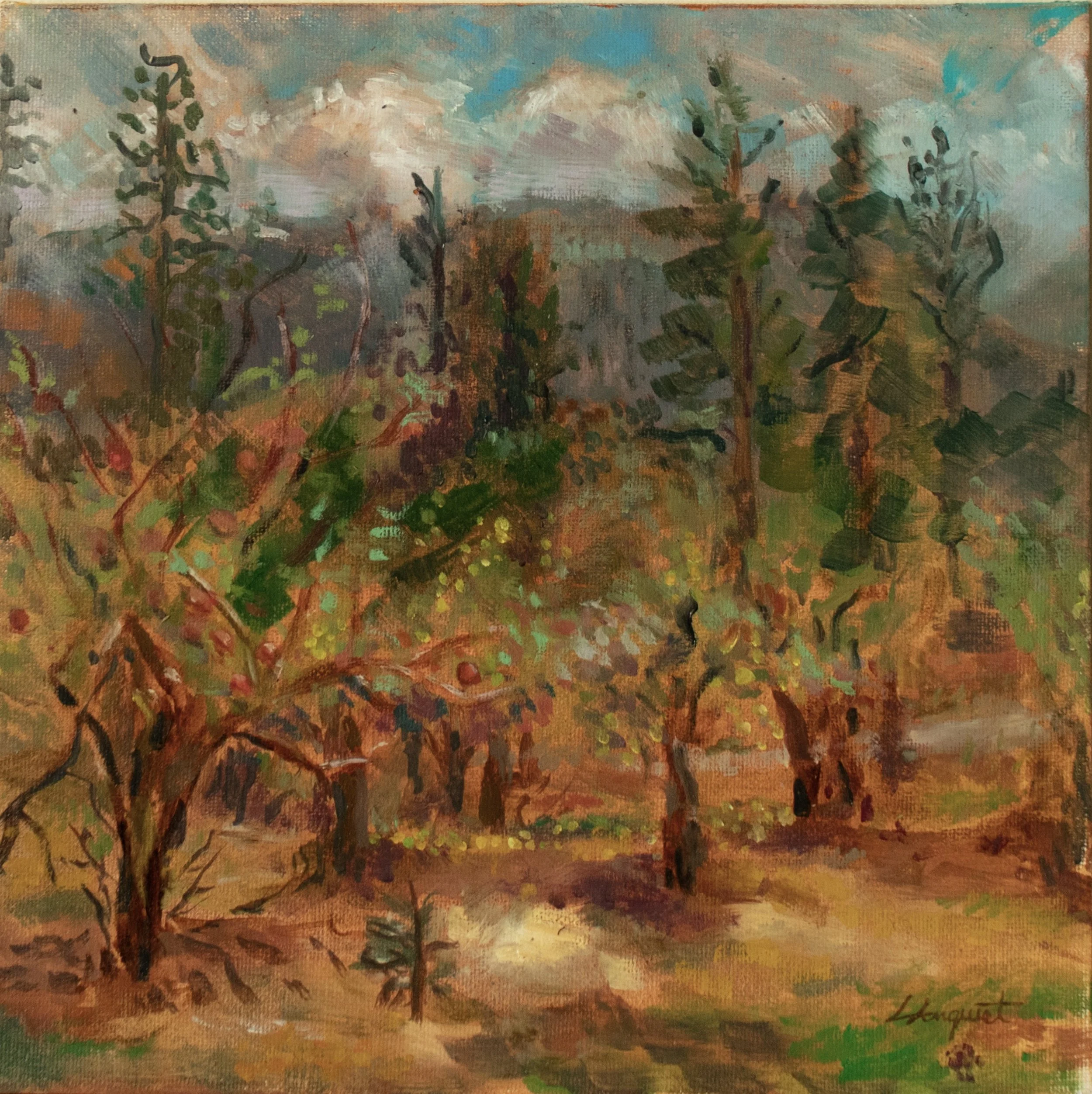 Arnquist_Lily_Apple_Orchard.jpg