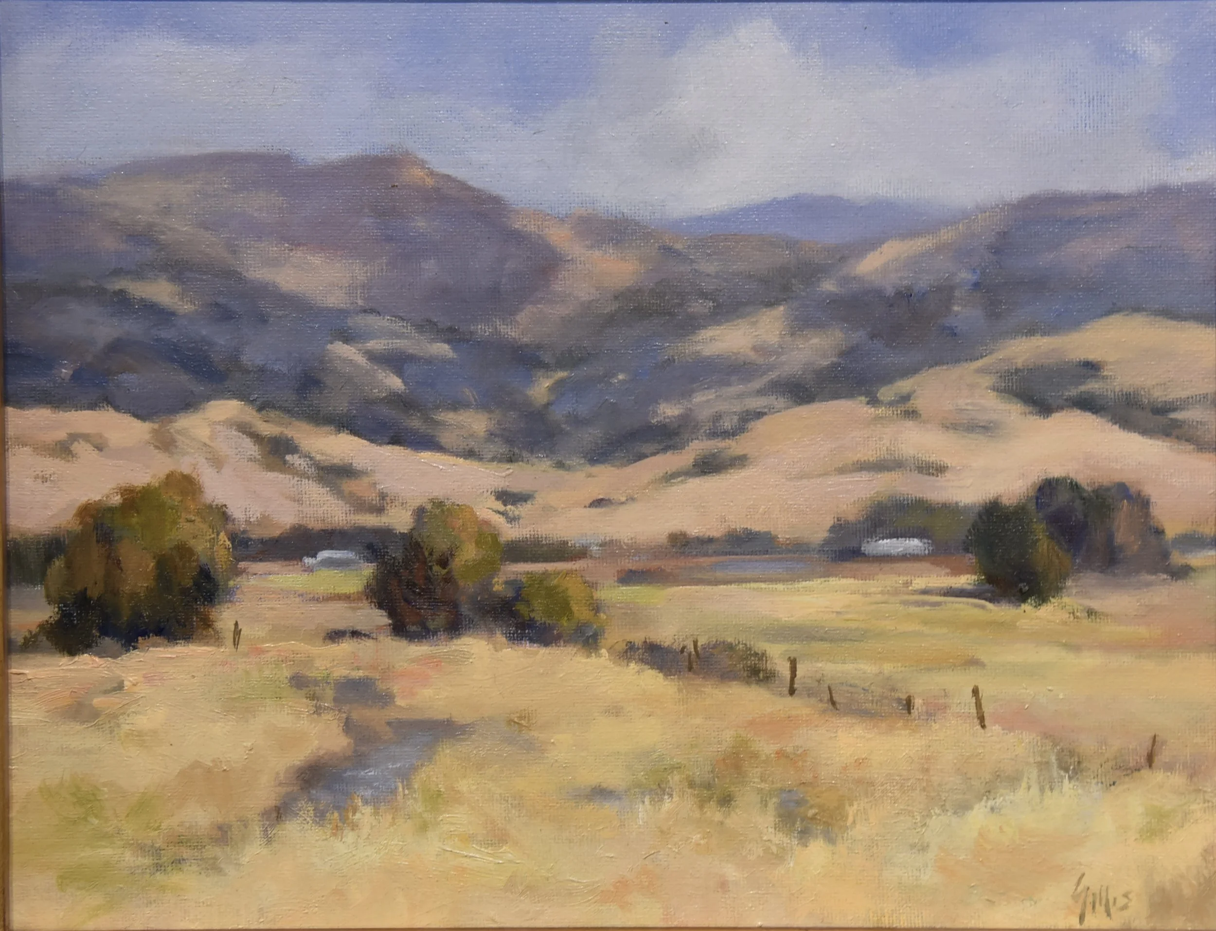 Summer Foothills.jpg