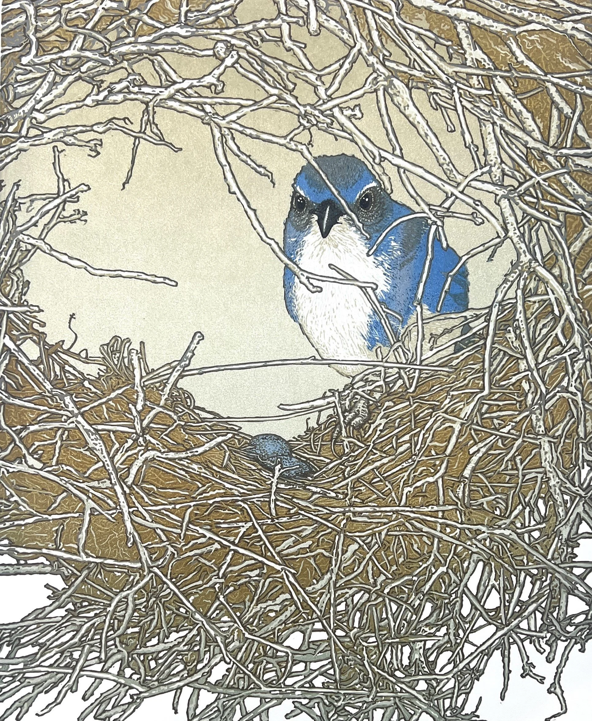 Scrub-Jay's Fixer-Upper final edit.JPG