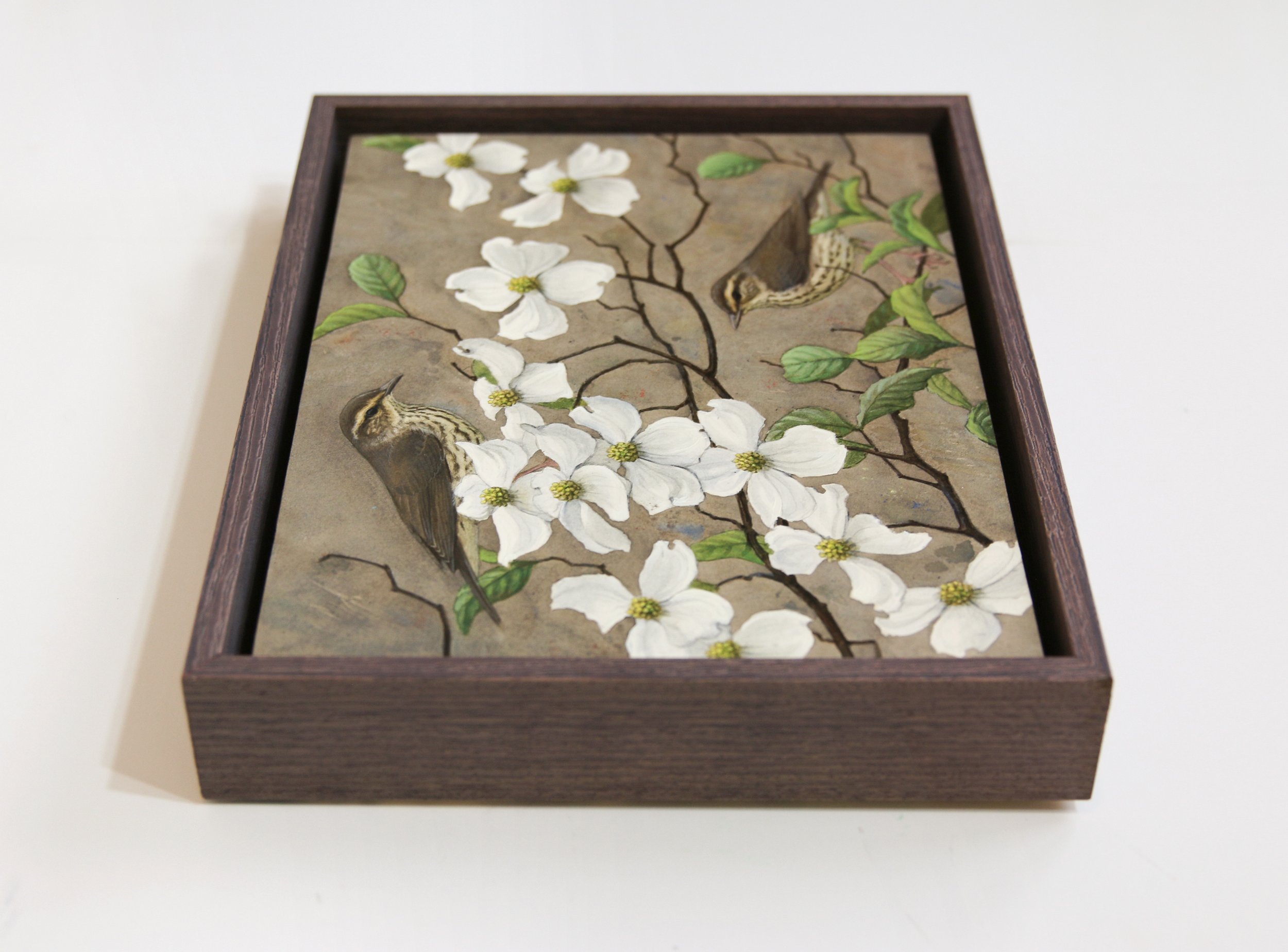 Northern Waterthrushes Framed.jpg