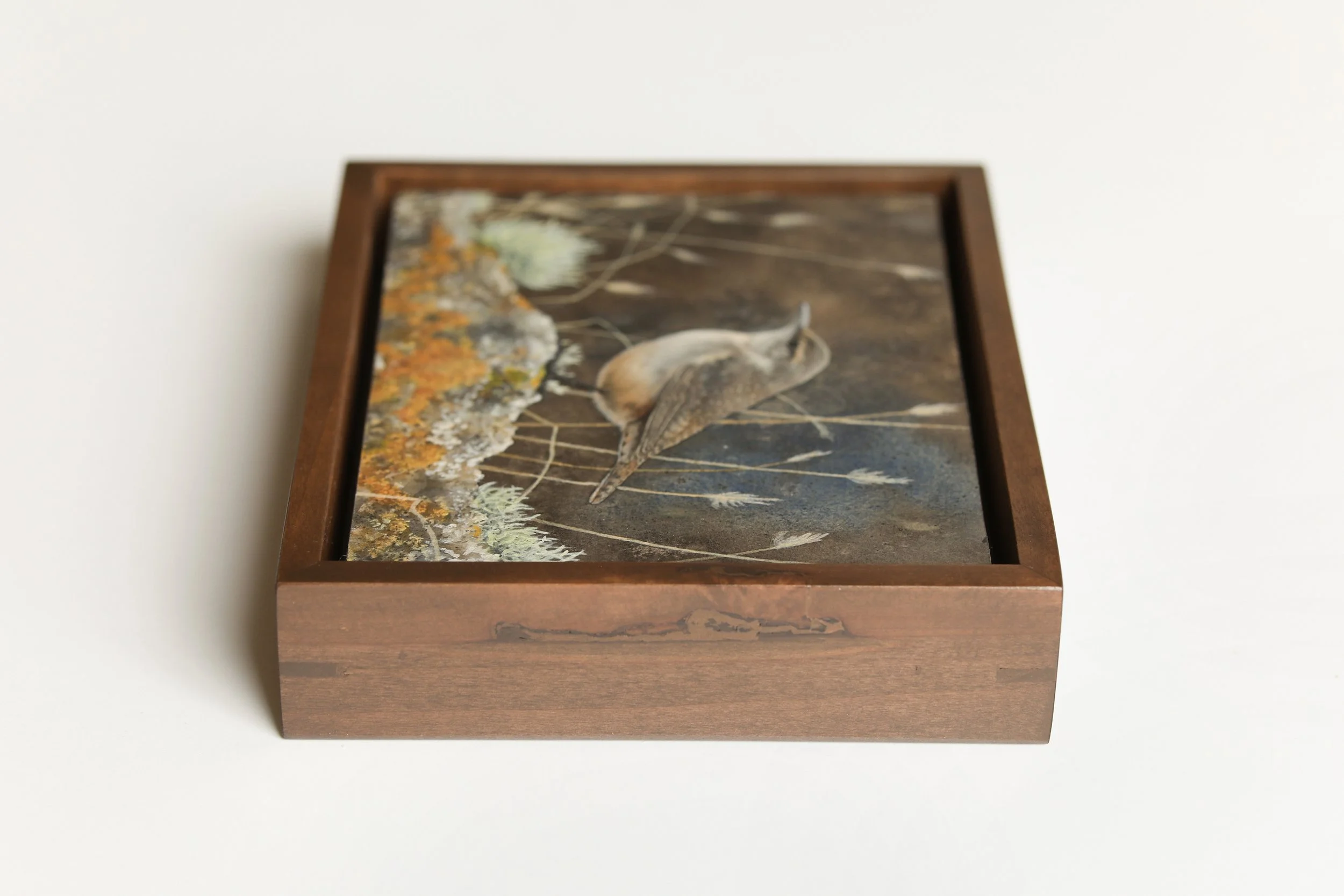 Rock Wren- Framed.jpg