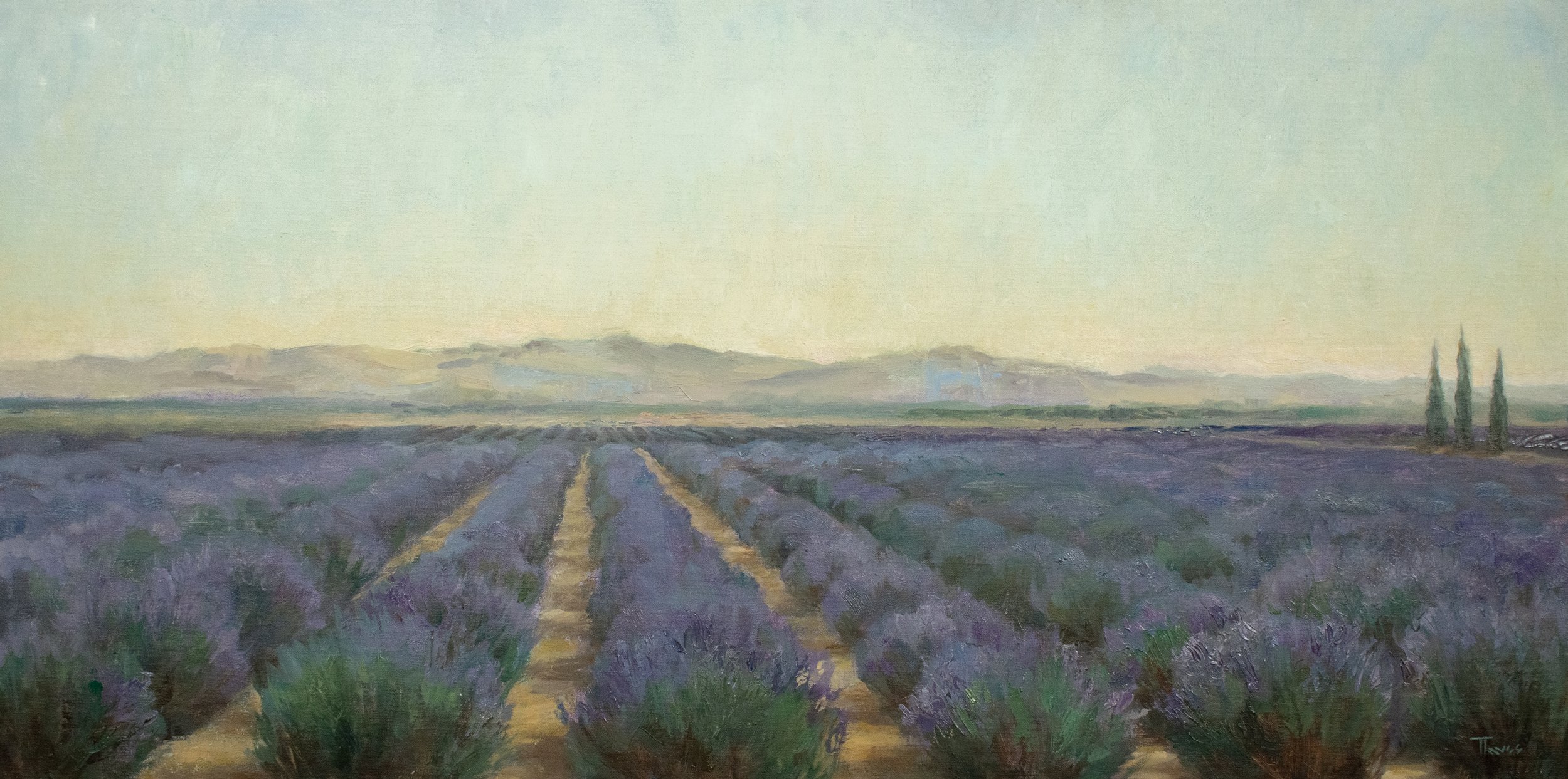 TTaves Lavender Fields 12x24.jpg