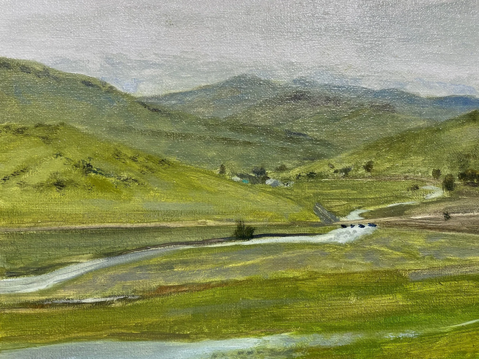 Yokohl Valley Overlook Flat Light 8x10 325.jpeg