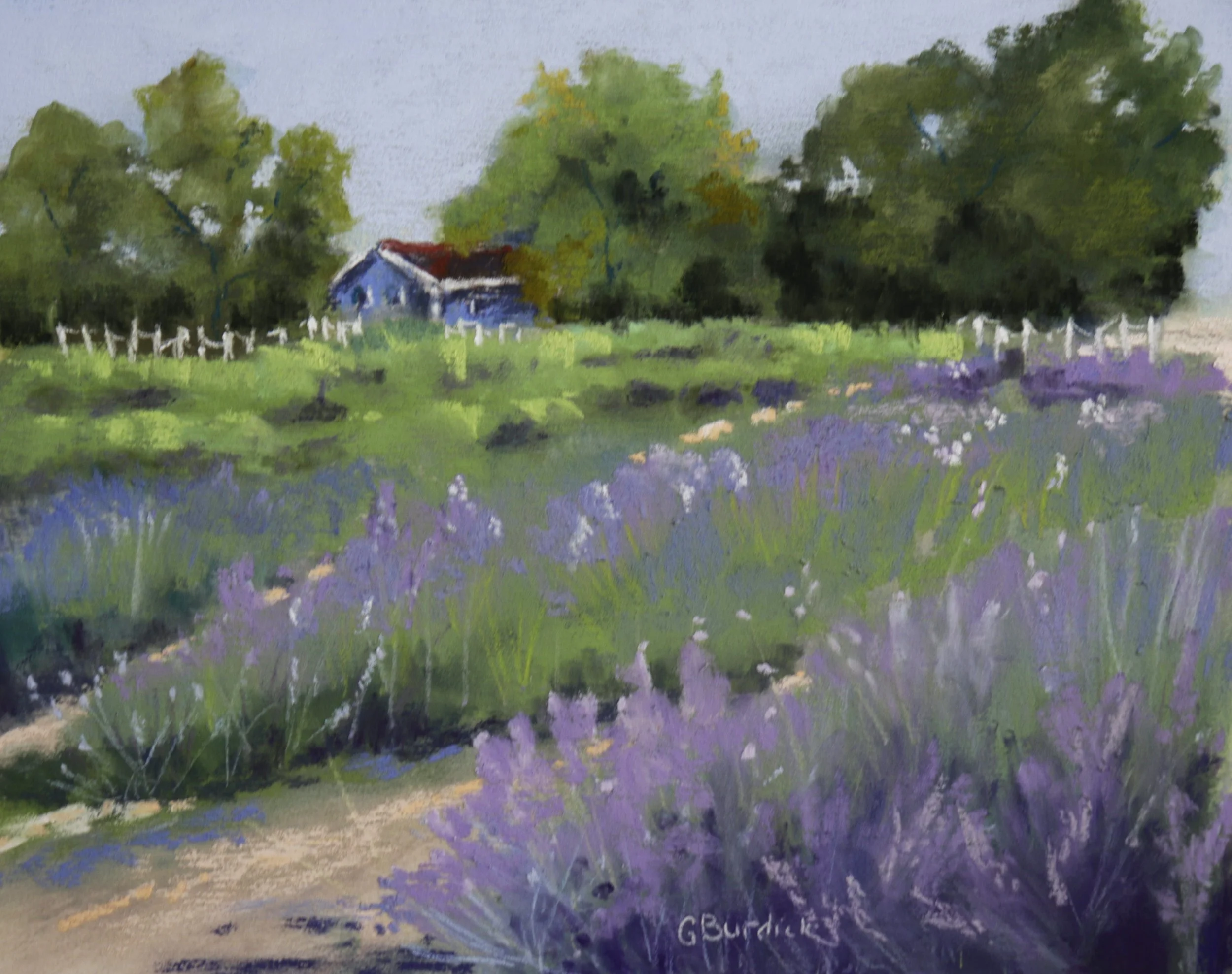 Lavendar in the Afternoon.JPG