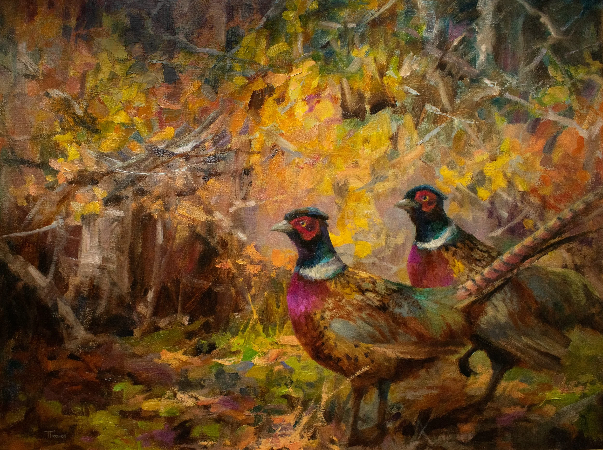 TTaves  Pheasants 18x24.jpg