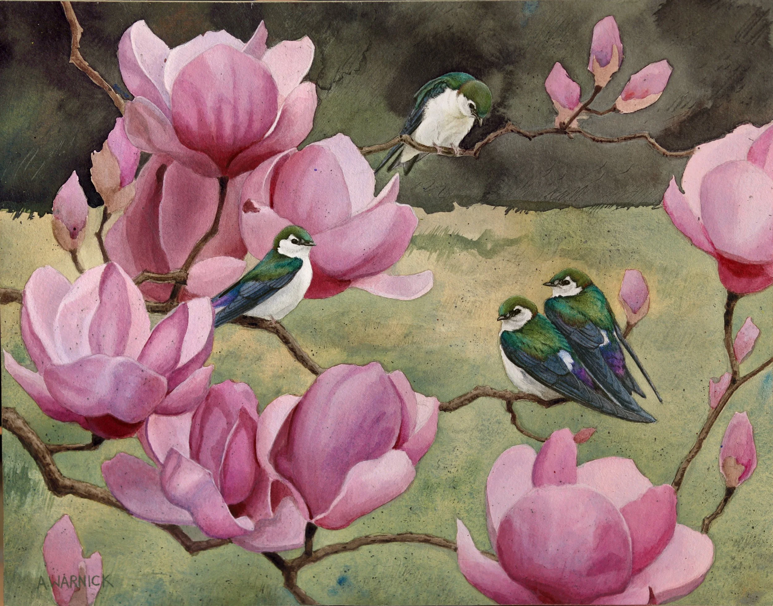 Violet-green Swallows and Magnolia.jpg