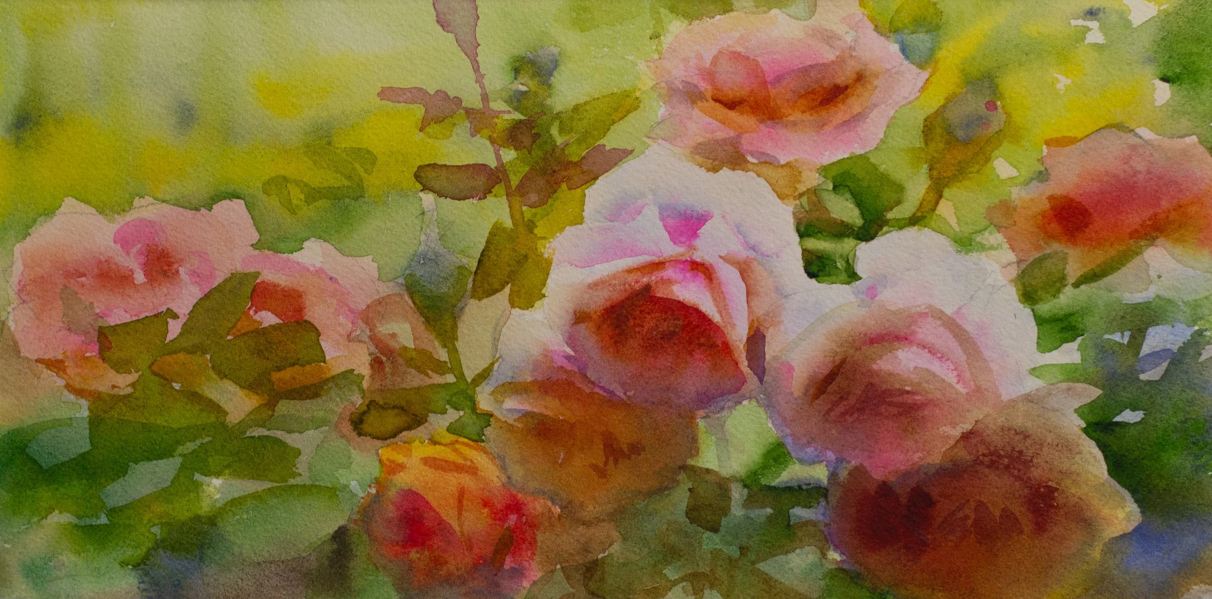 Keys Coral Roses.jpeg
