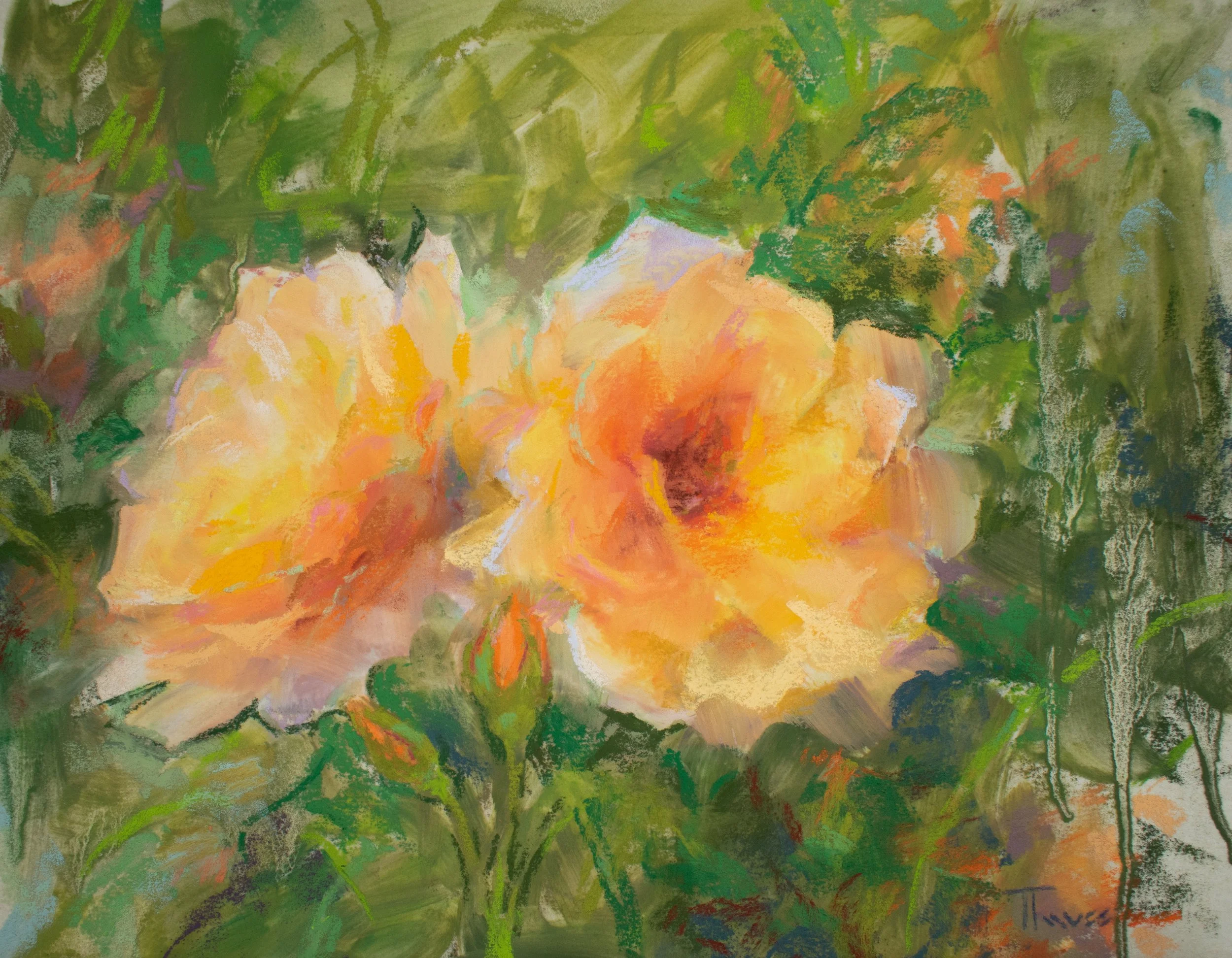 TTaves Apricot Roses 8x10.jpg
