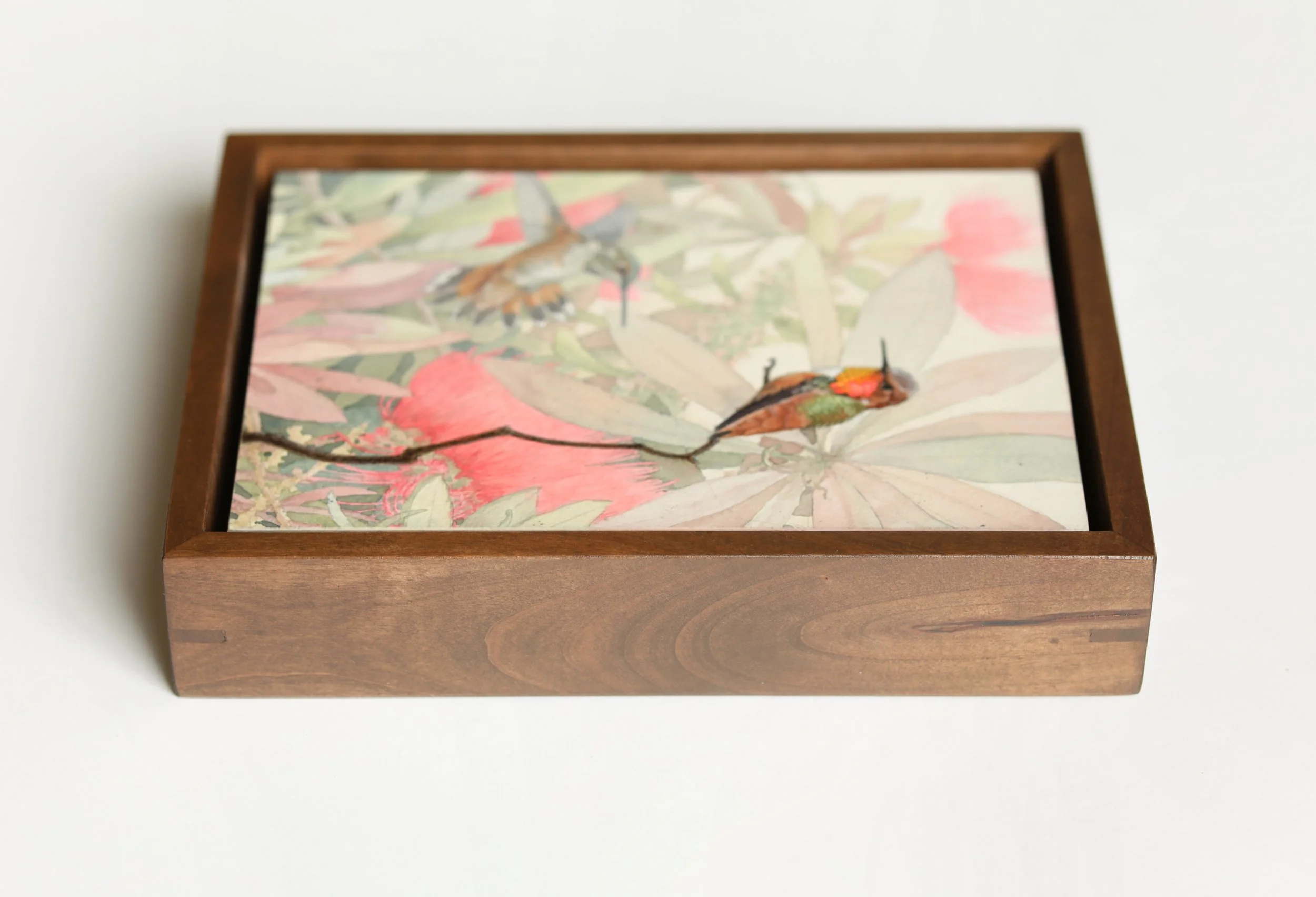 Allen's Hummingbird- Framed.jpg