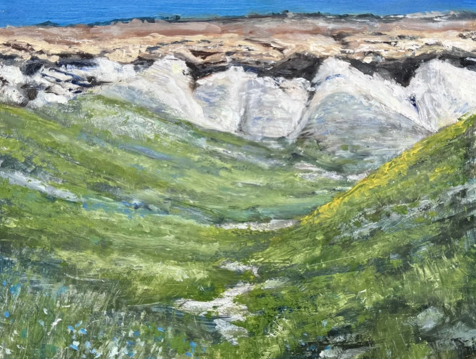 Coalinga Hills in Spring 8x10 525.jpeg