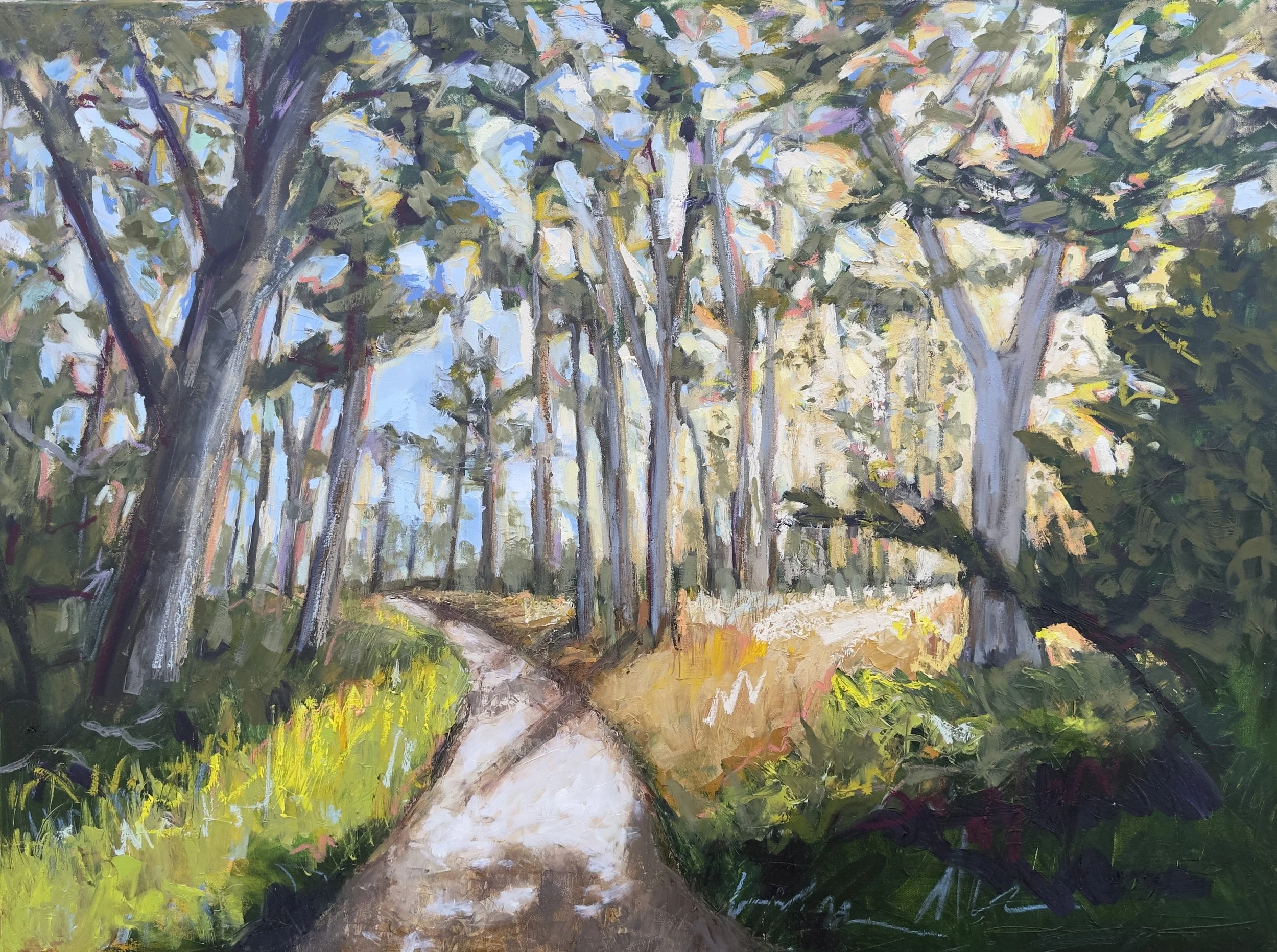 sanguine cypress 36x48.jpg