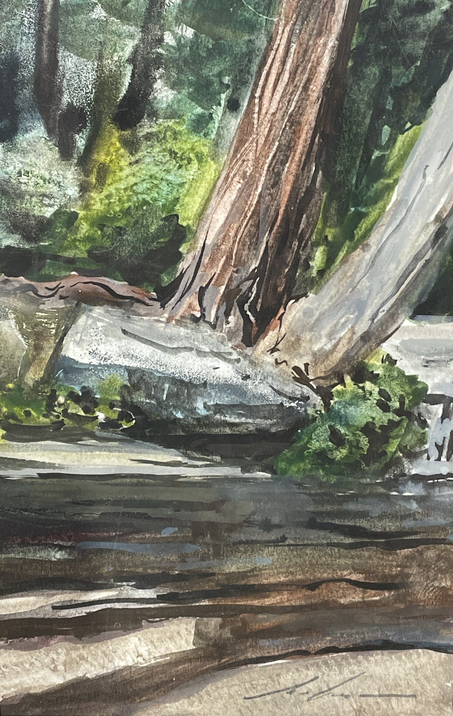 Leaning Trees Sand Creek 5 x 7 325.jpeg