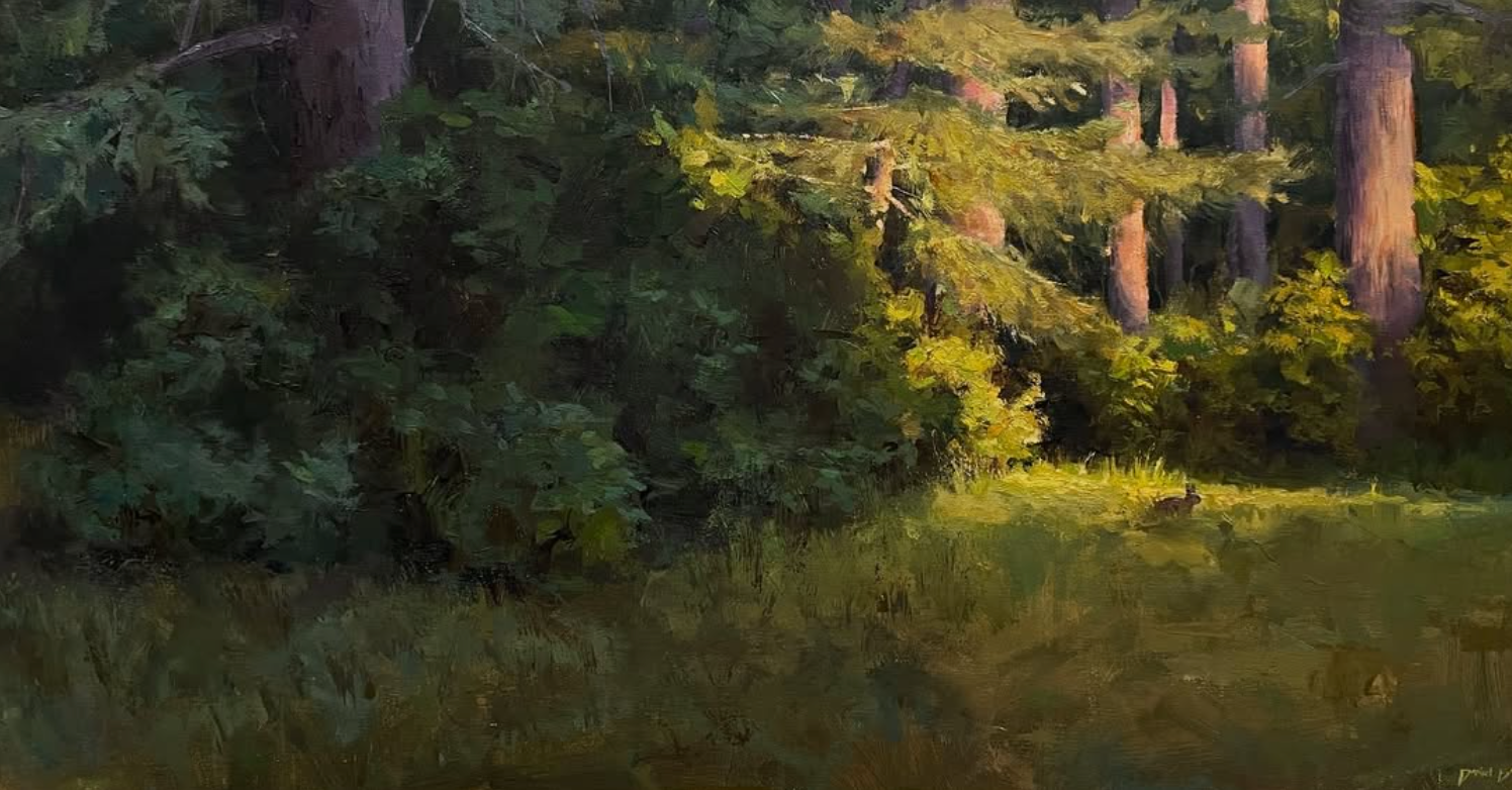 Bunny in the Sun.PNG