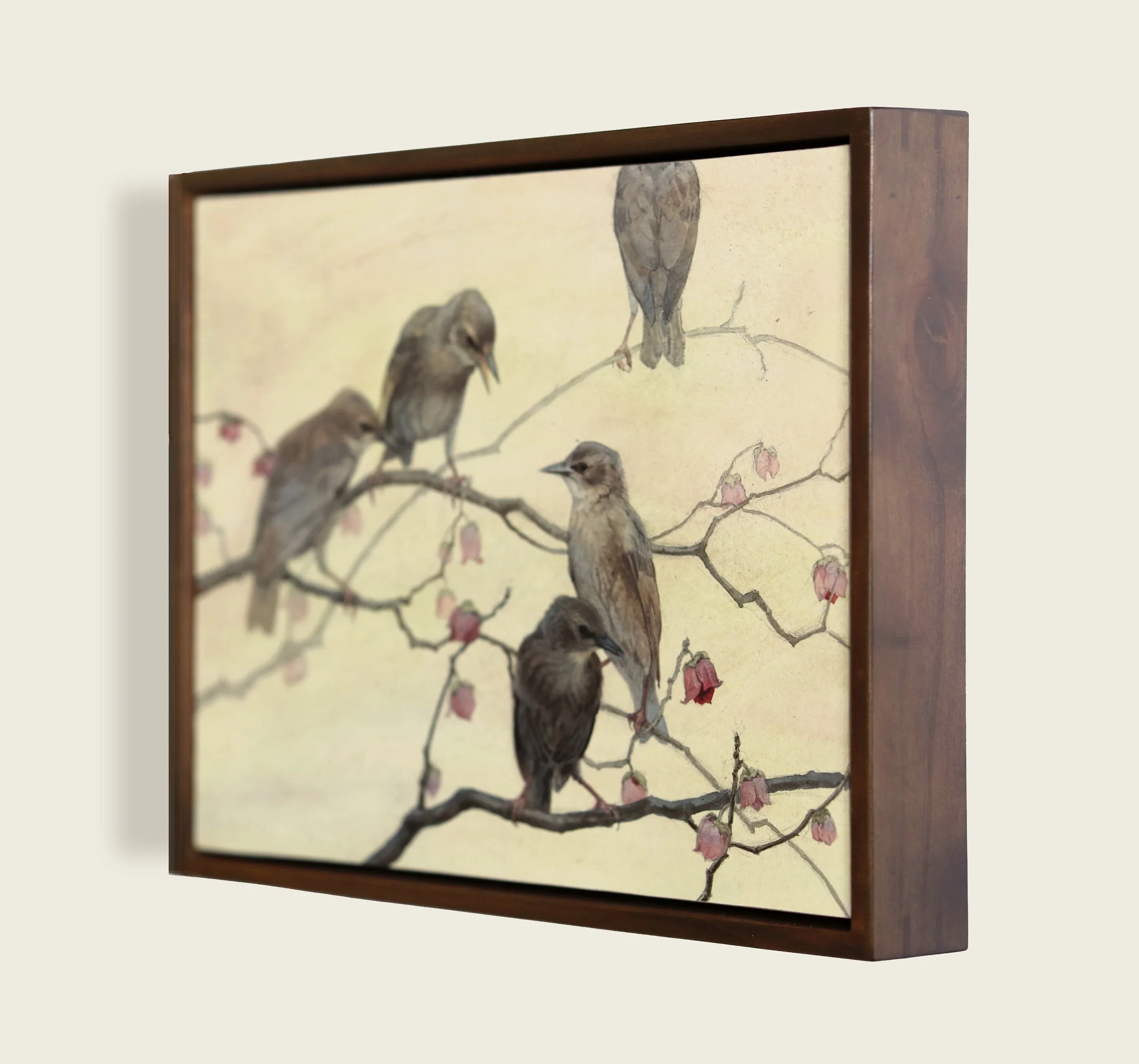 European Starlings Framed.jpg