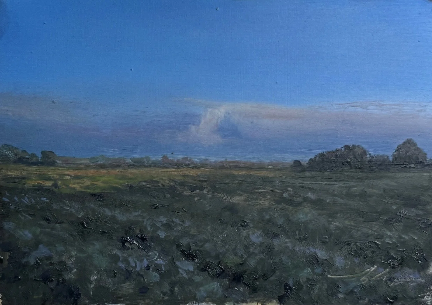 Madera Evening Light 5x7 325.jpg