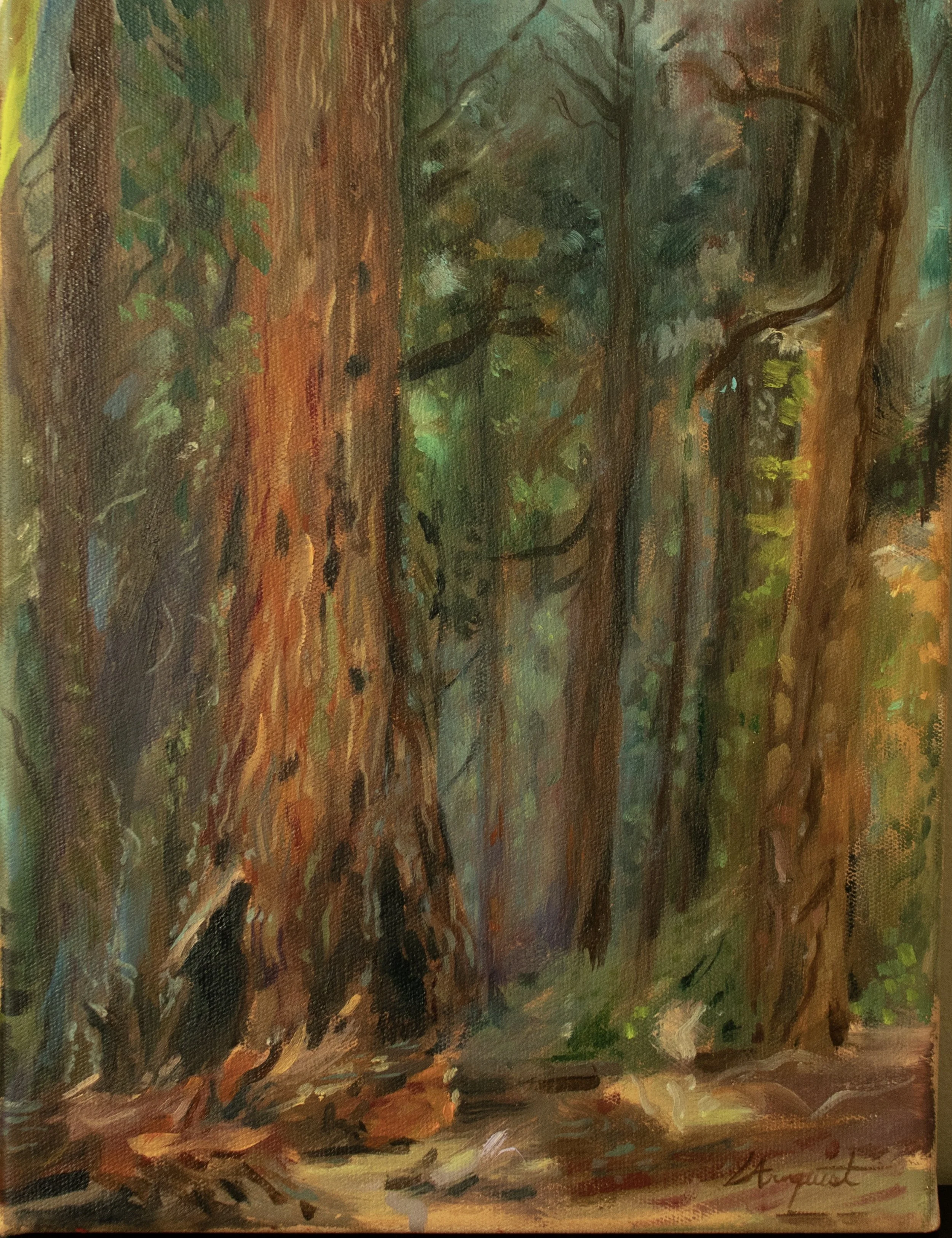 Arnquist_Lily_Afternoon_in_Sequoia_Forest.jpg