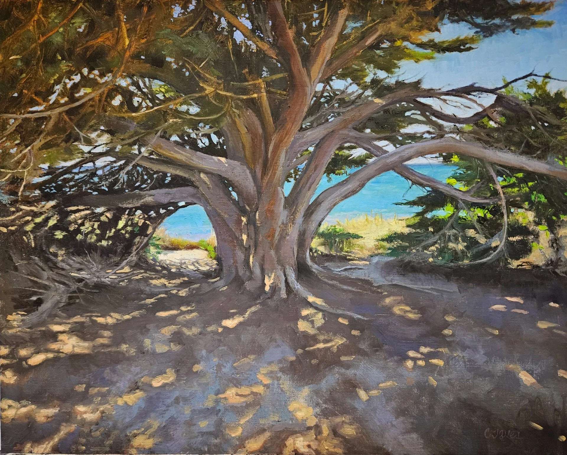 Taves Beyond The Cypress Tree 16x20.jpg