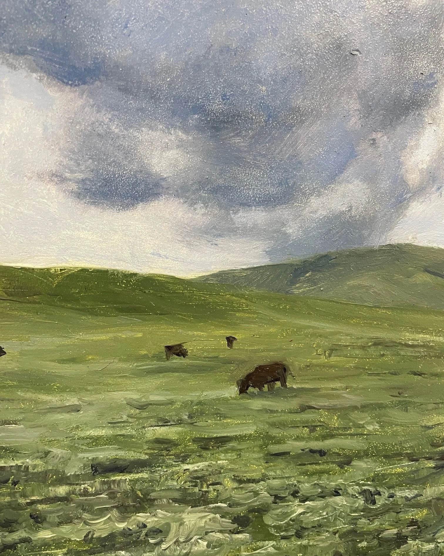 Yokohl Valley 6x6 325.jpeg