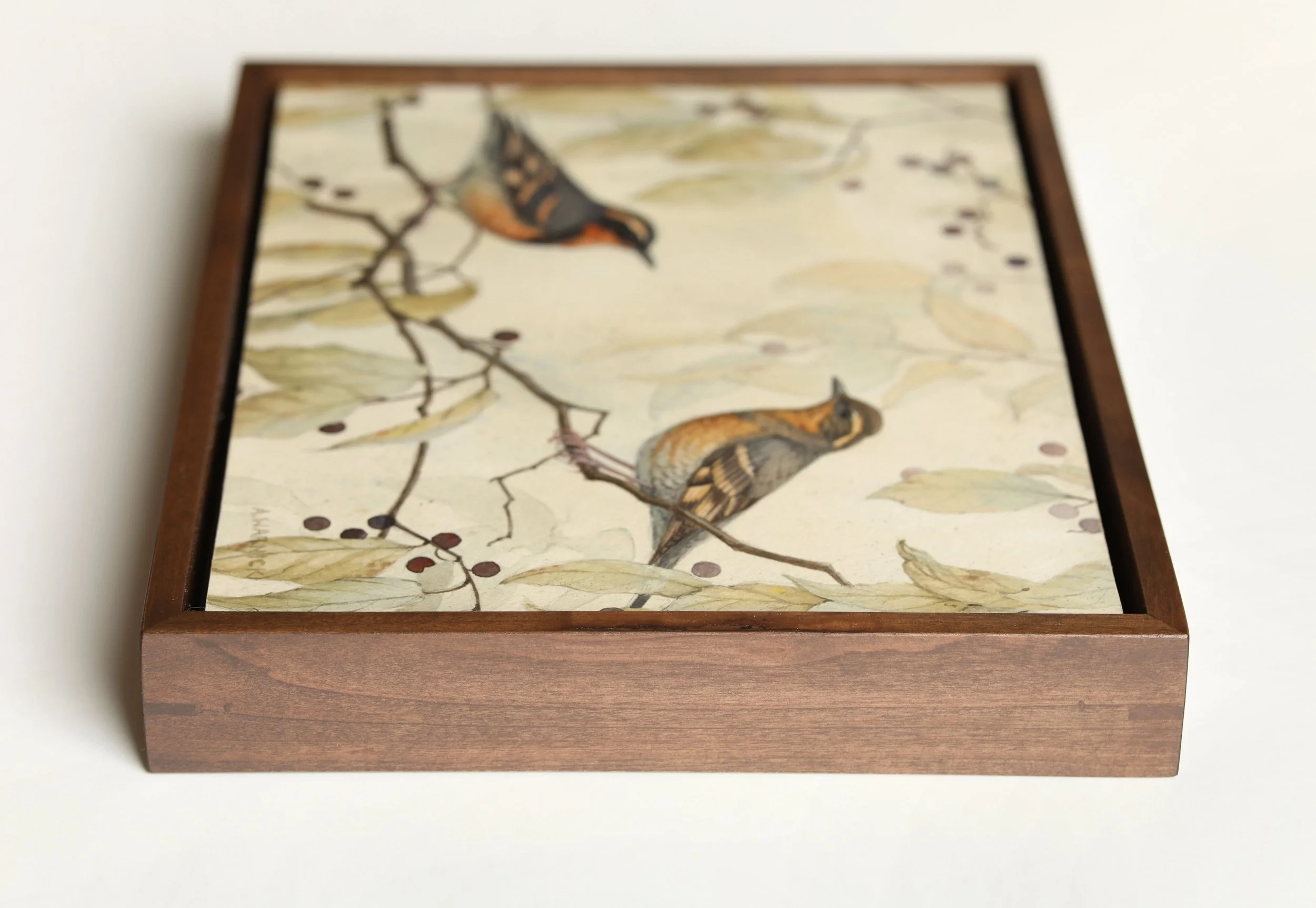 Varied Thrushes- Framed.jpg