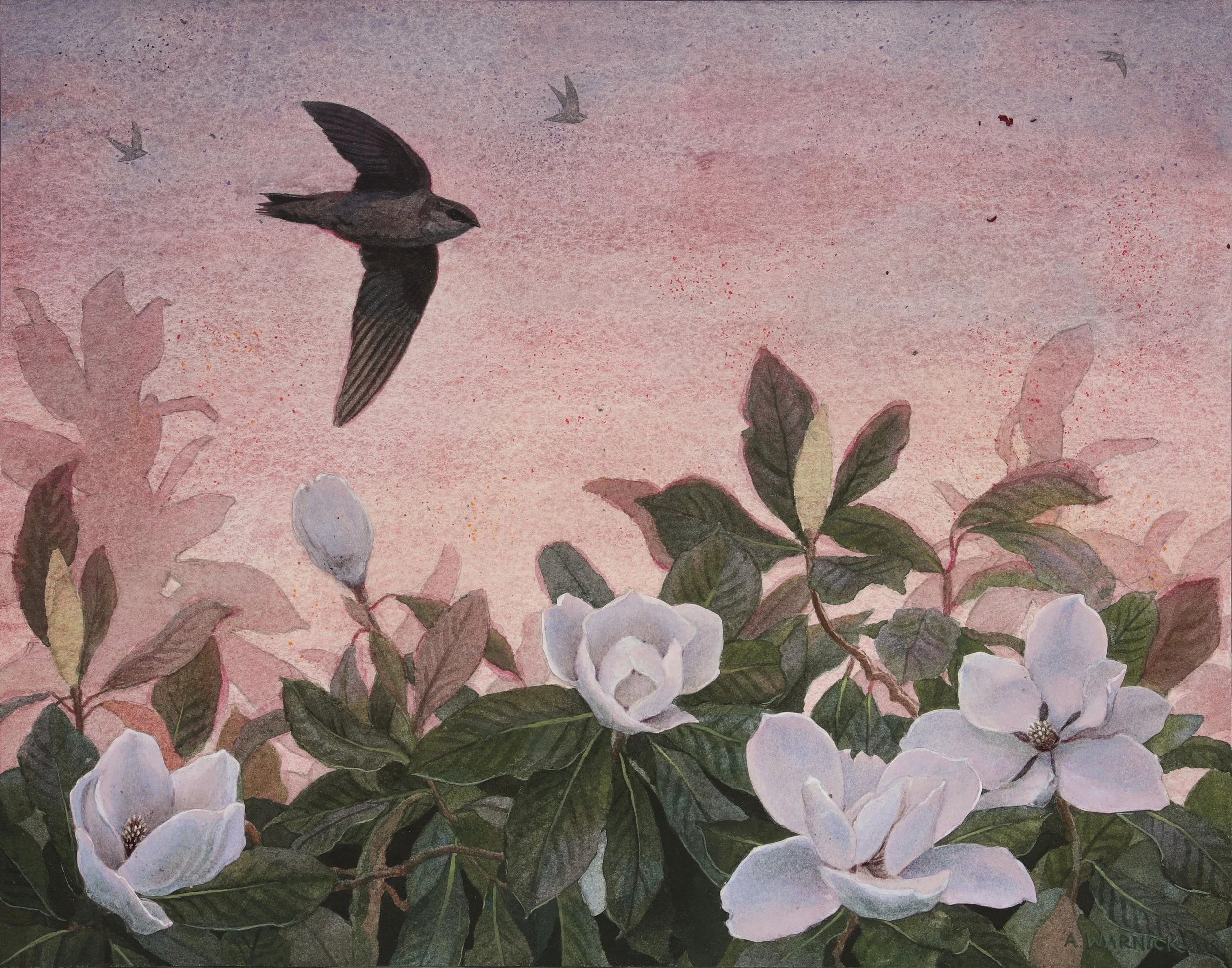 Chimney Swift.jpg