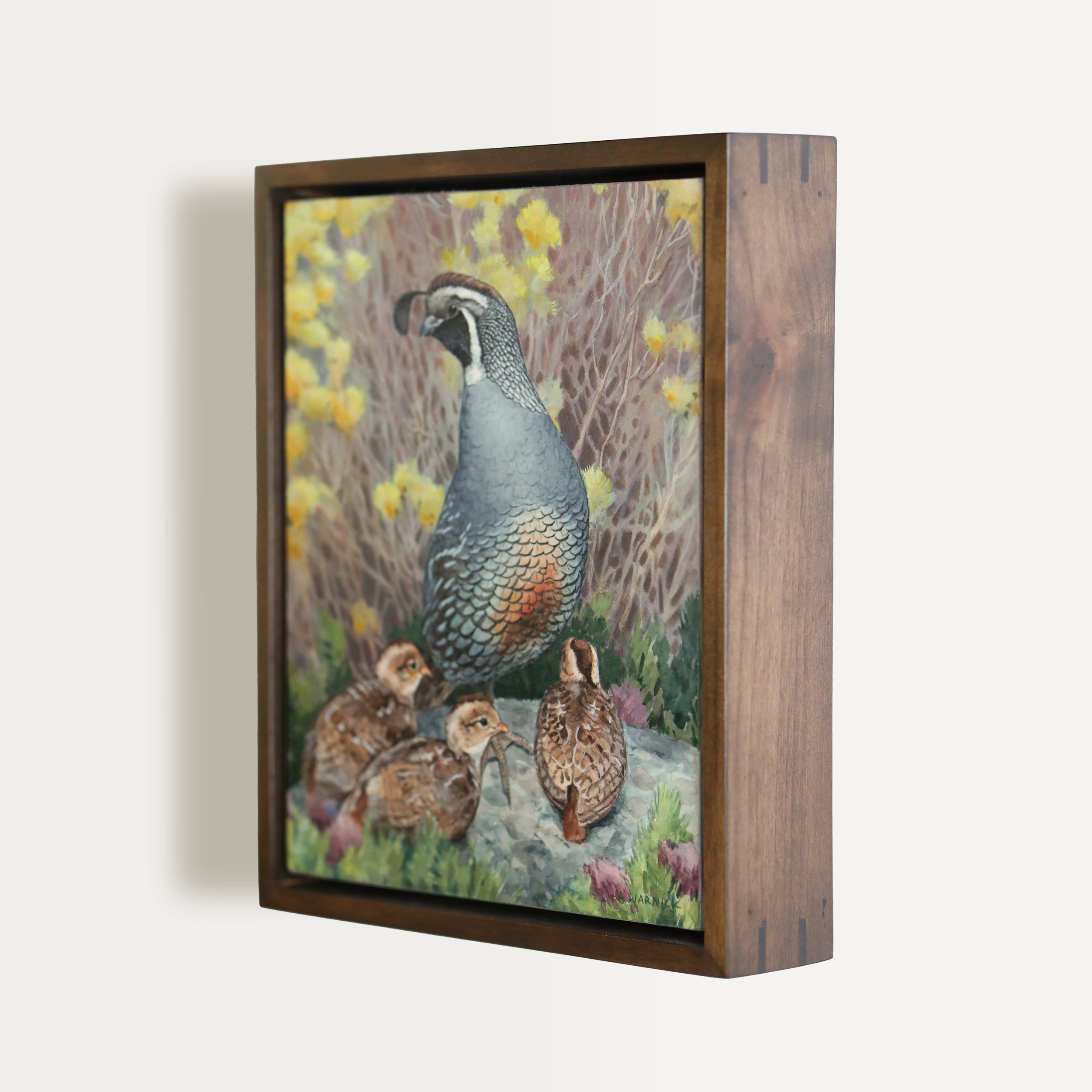 California Quail Framed.jpg