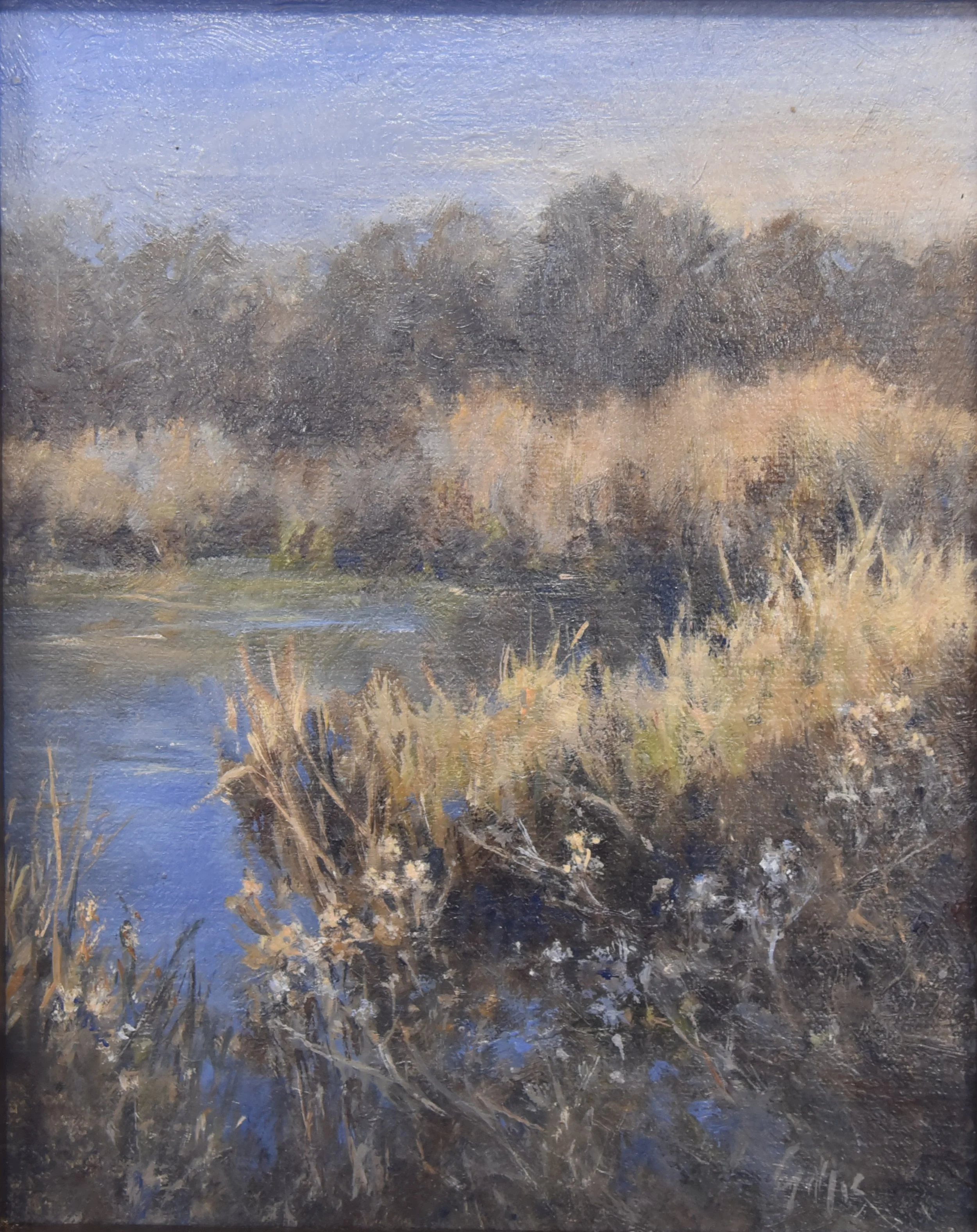 Evening Marsh.jpg