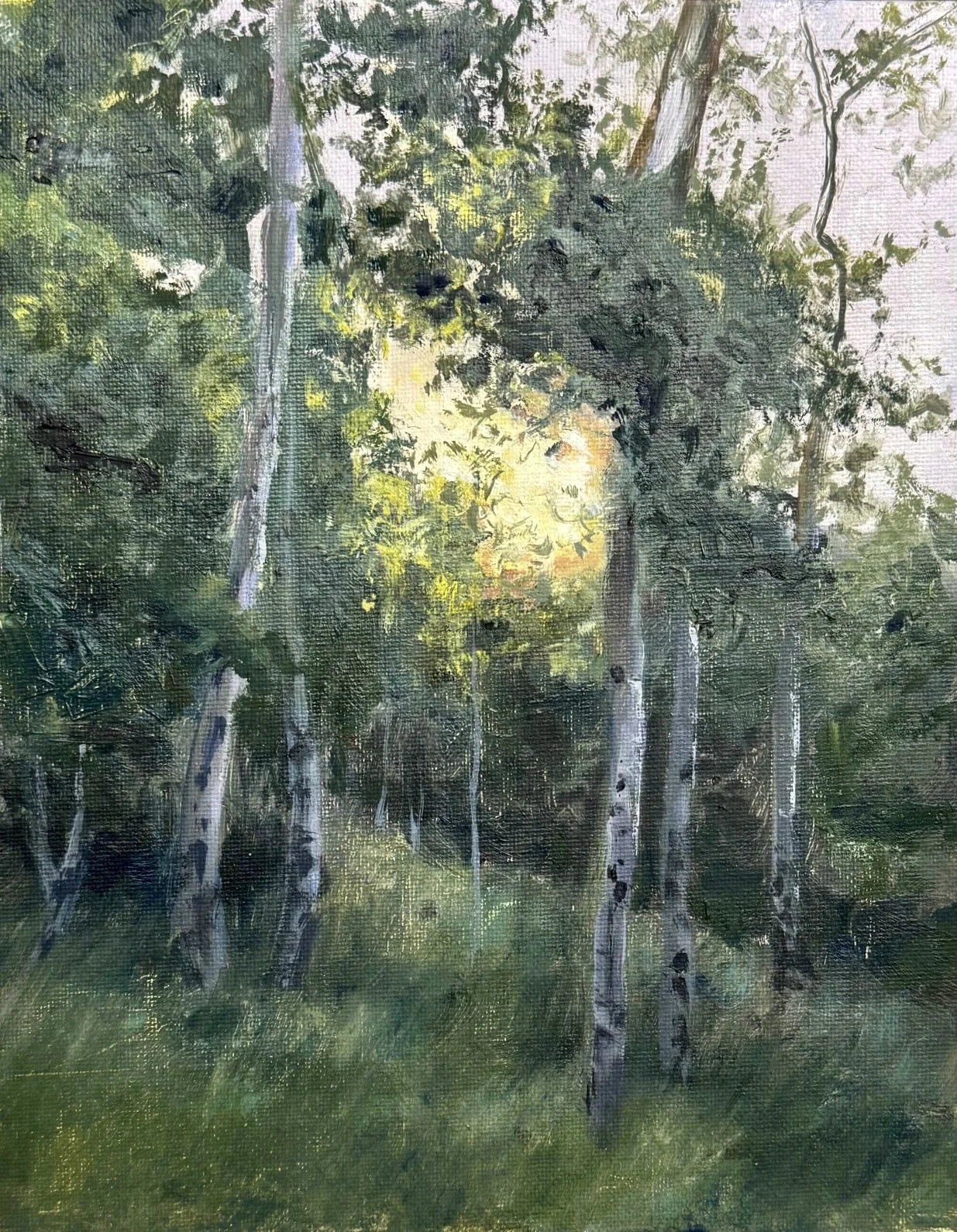 Aspen Early Morning, Eastern Sierra 8x10 525.jpg