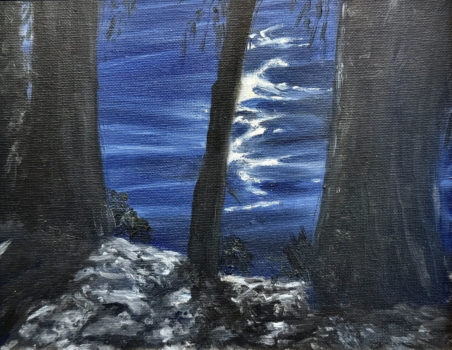 Dancing Moon, Kings River 8x10 625.jpeg