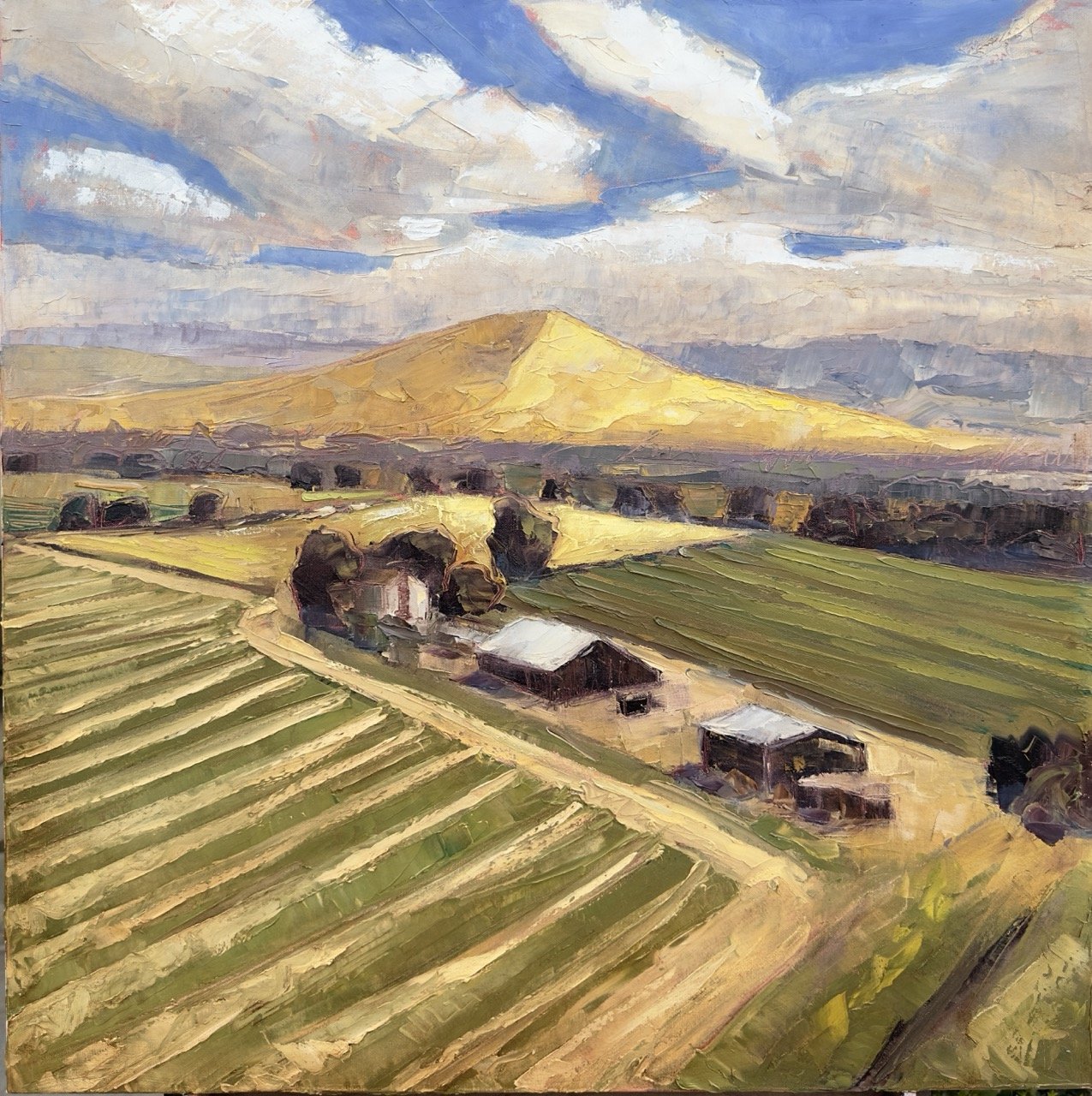 vangerpen while the sun shines 30x30.jpeg