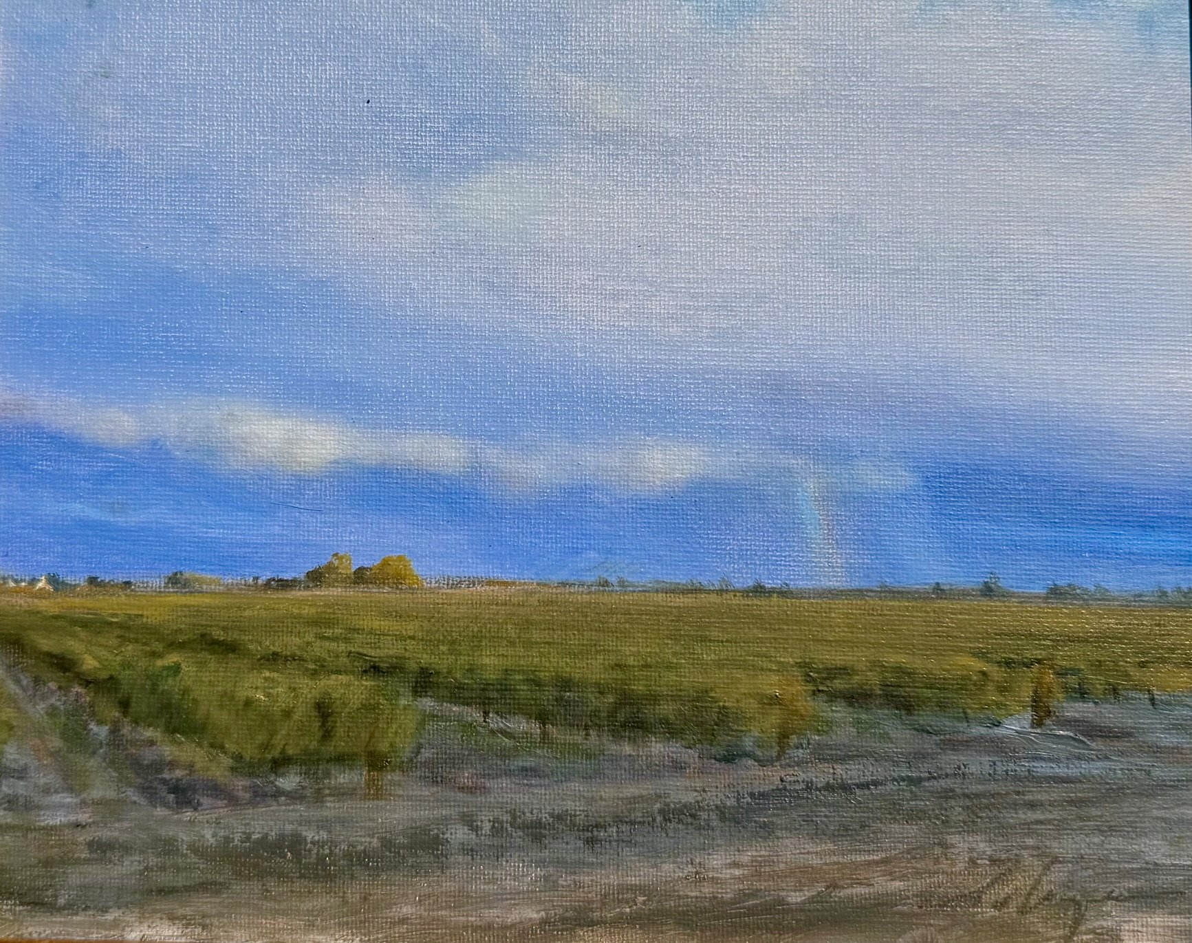 Summer Storm, Madera 8x10 625.jpeg