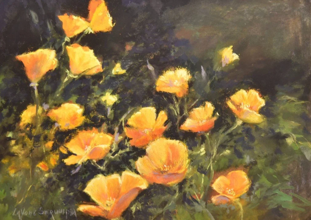 California Poppies.jpg