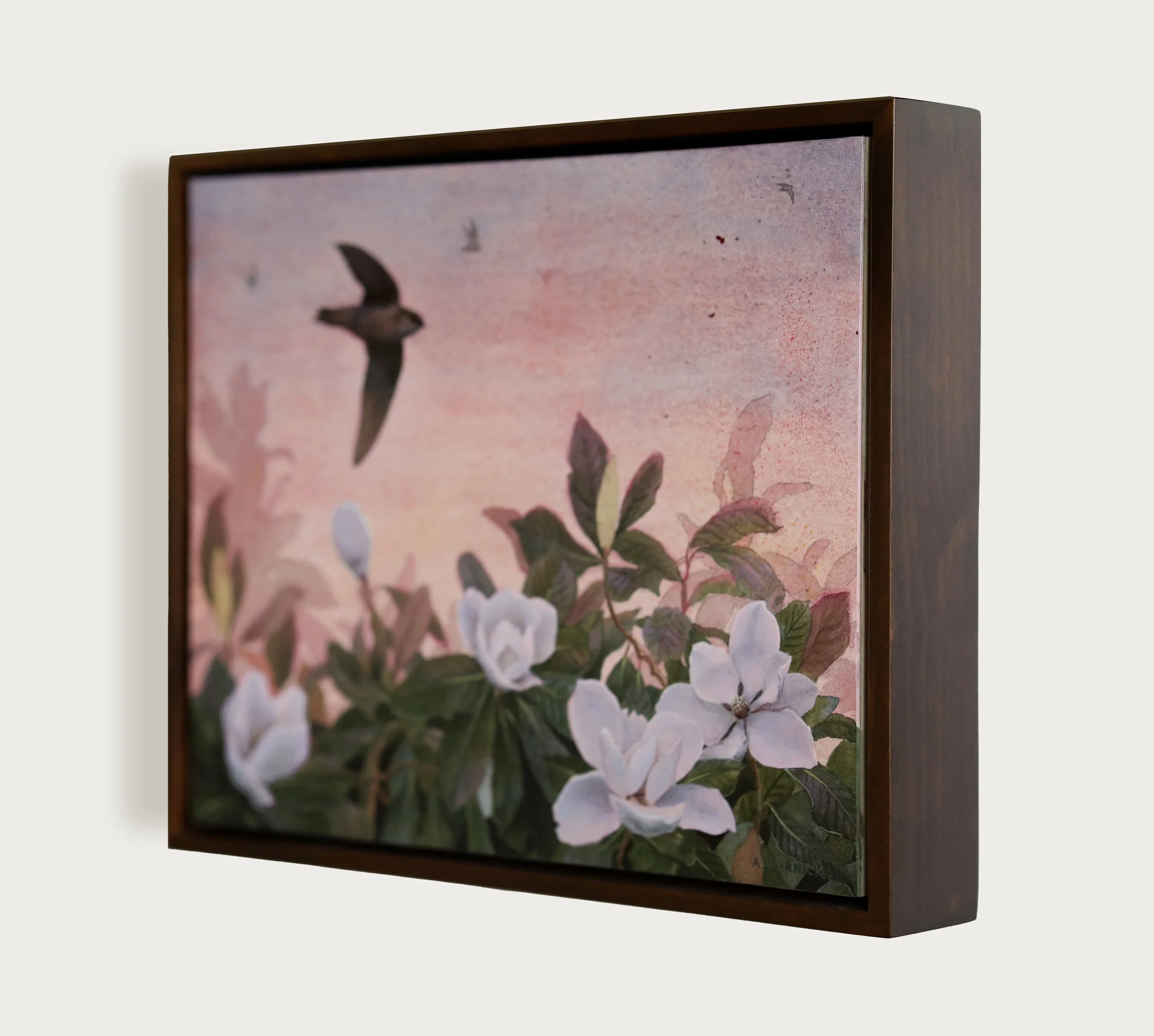 Chimney Swift Framed.jpg