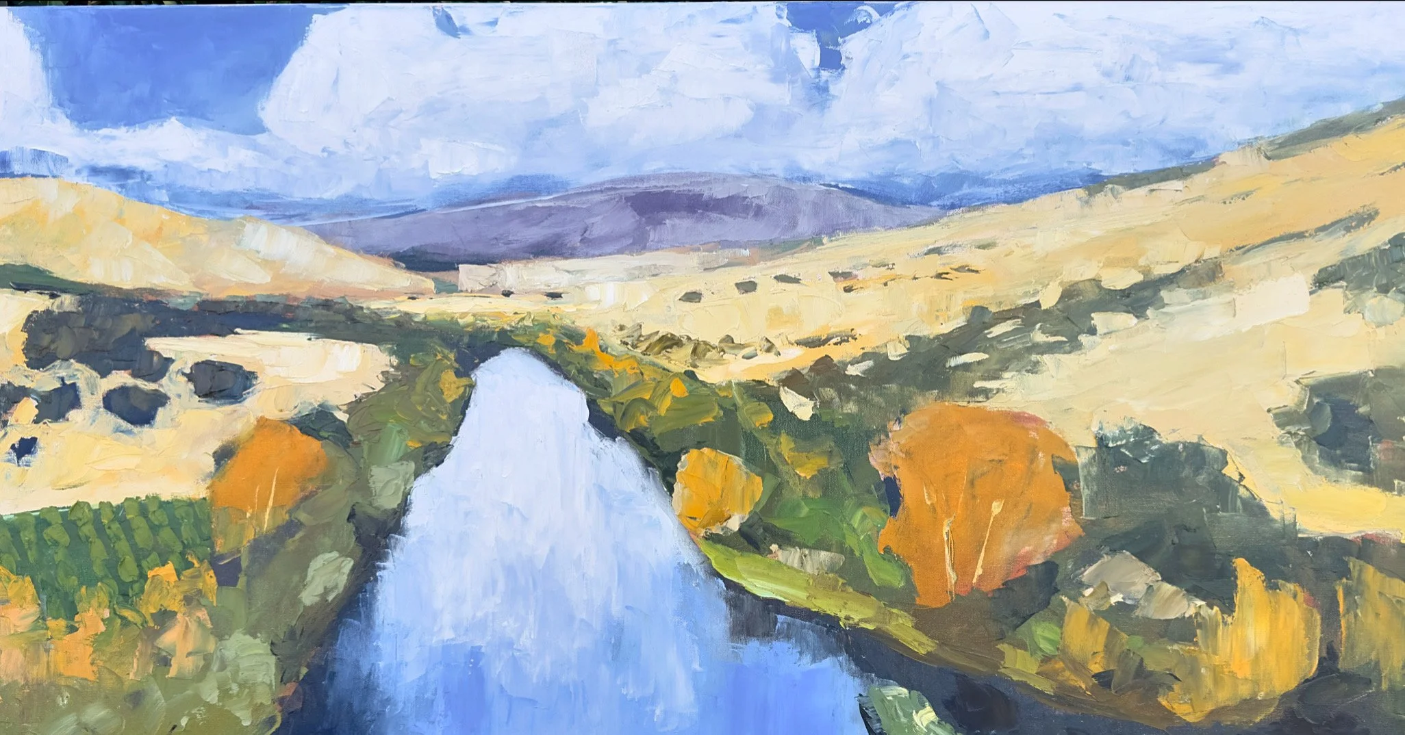 Continuousness 24x48 vangerpen.JPG