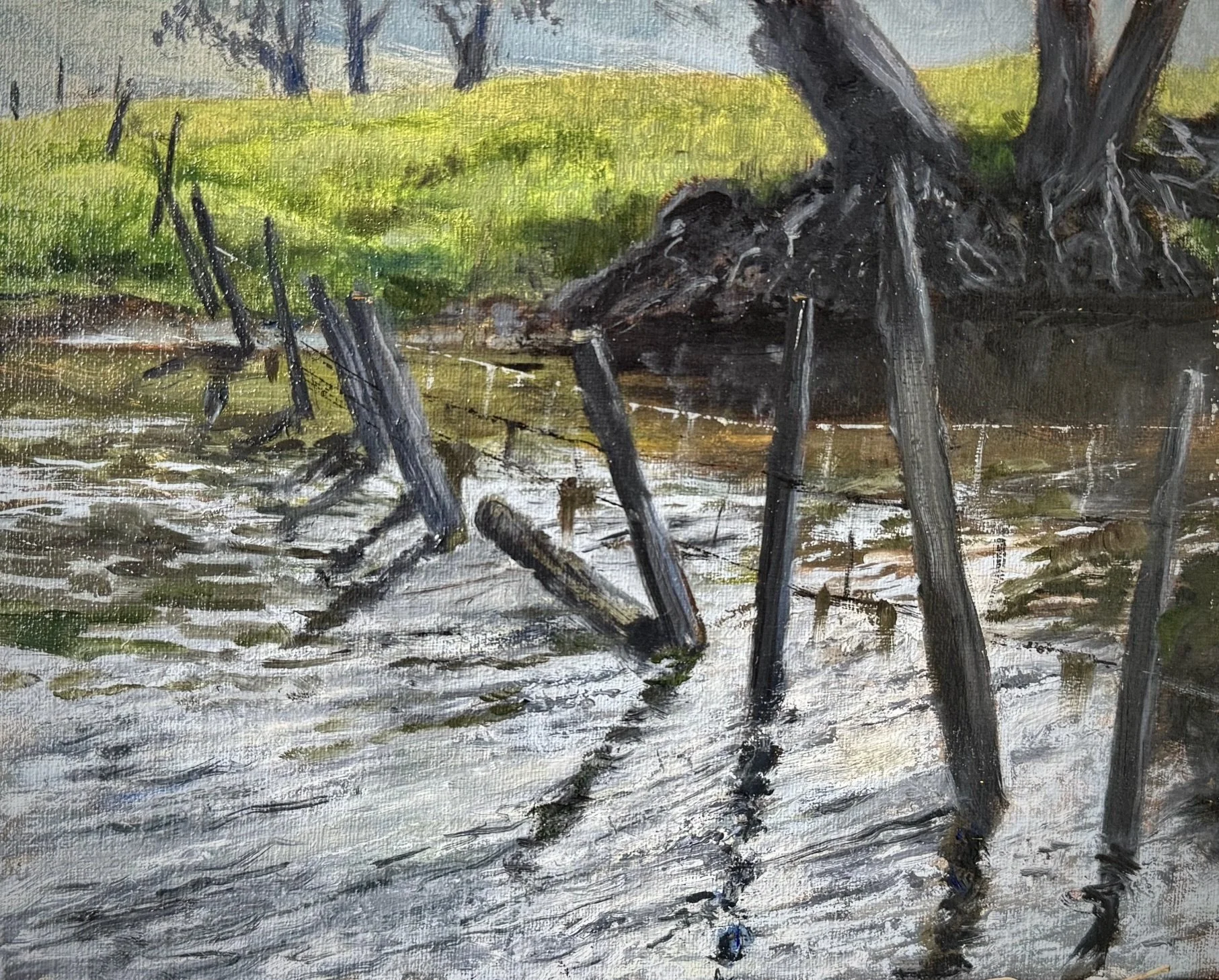 Fence Line through the Kaweah River 8x10 525.jpg