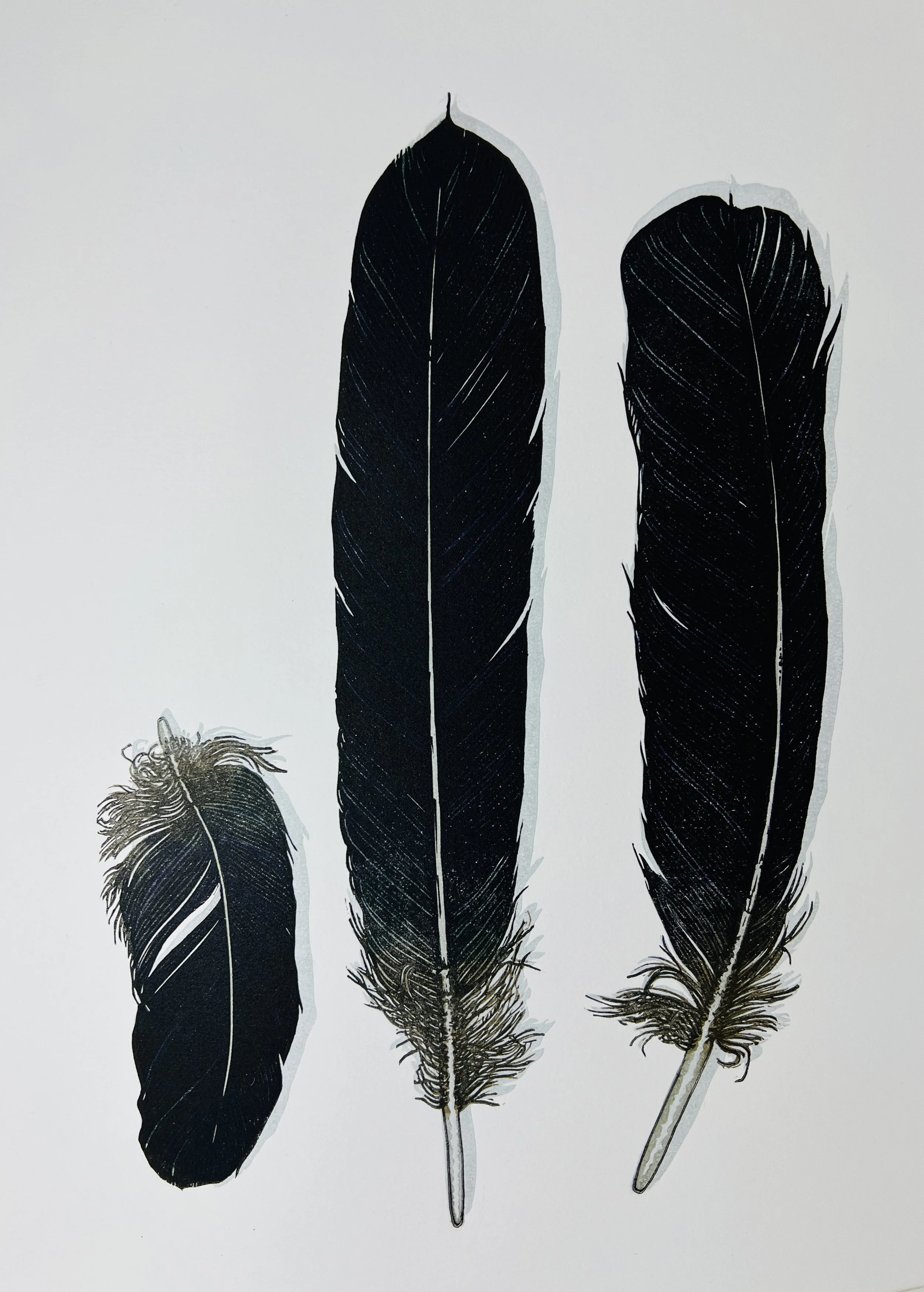 Raven Feathers.JPG