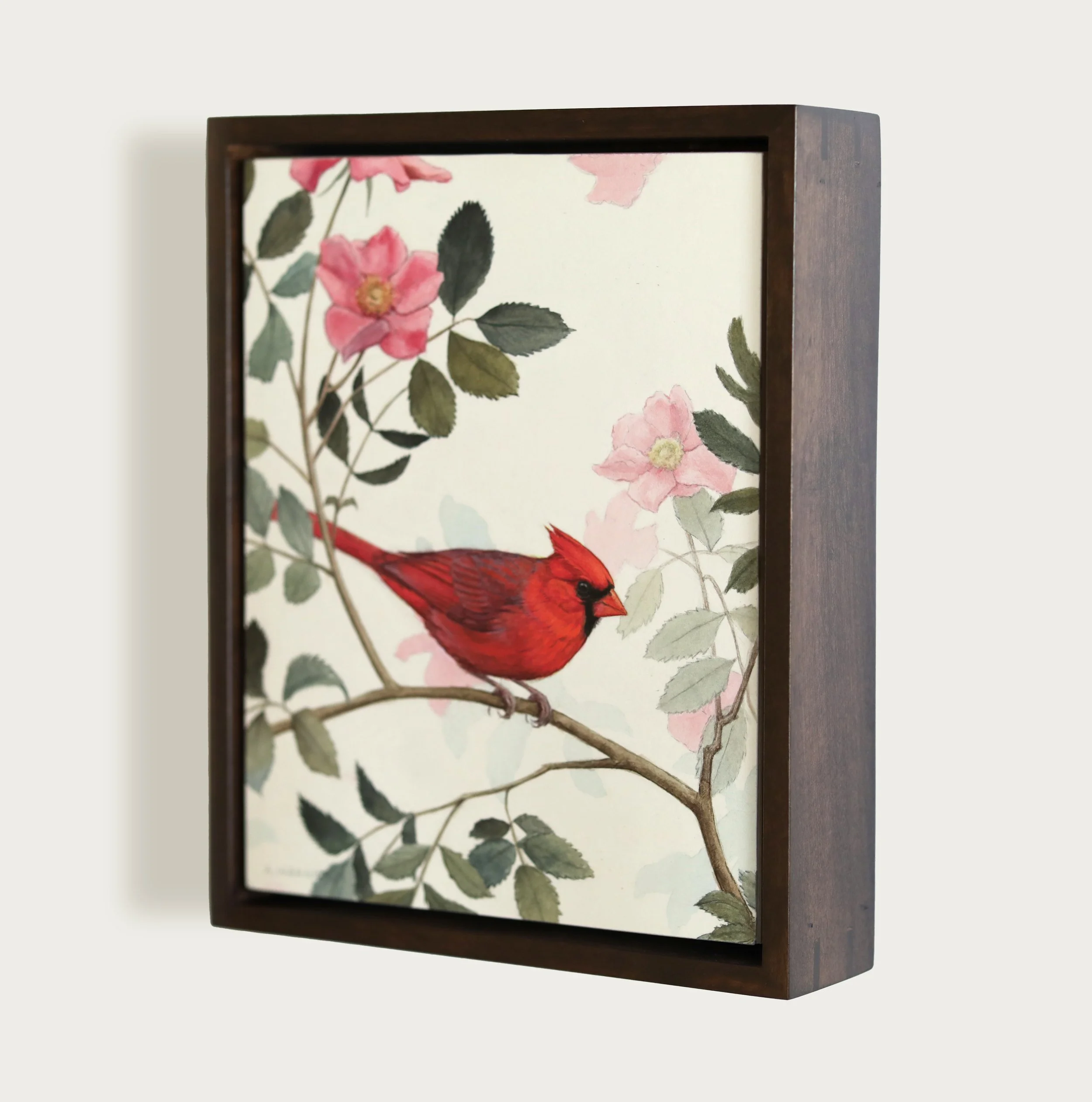 Northern Cardinal Framed.jpeg