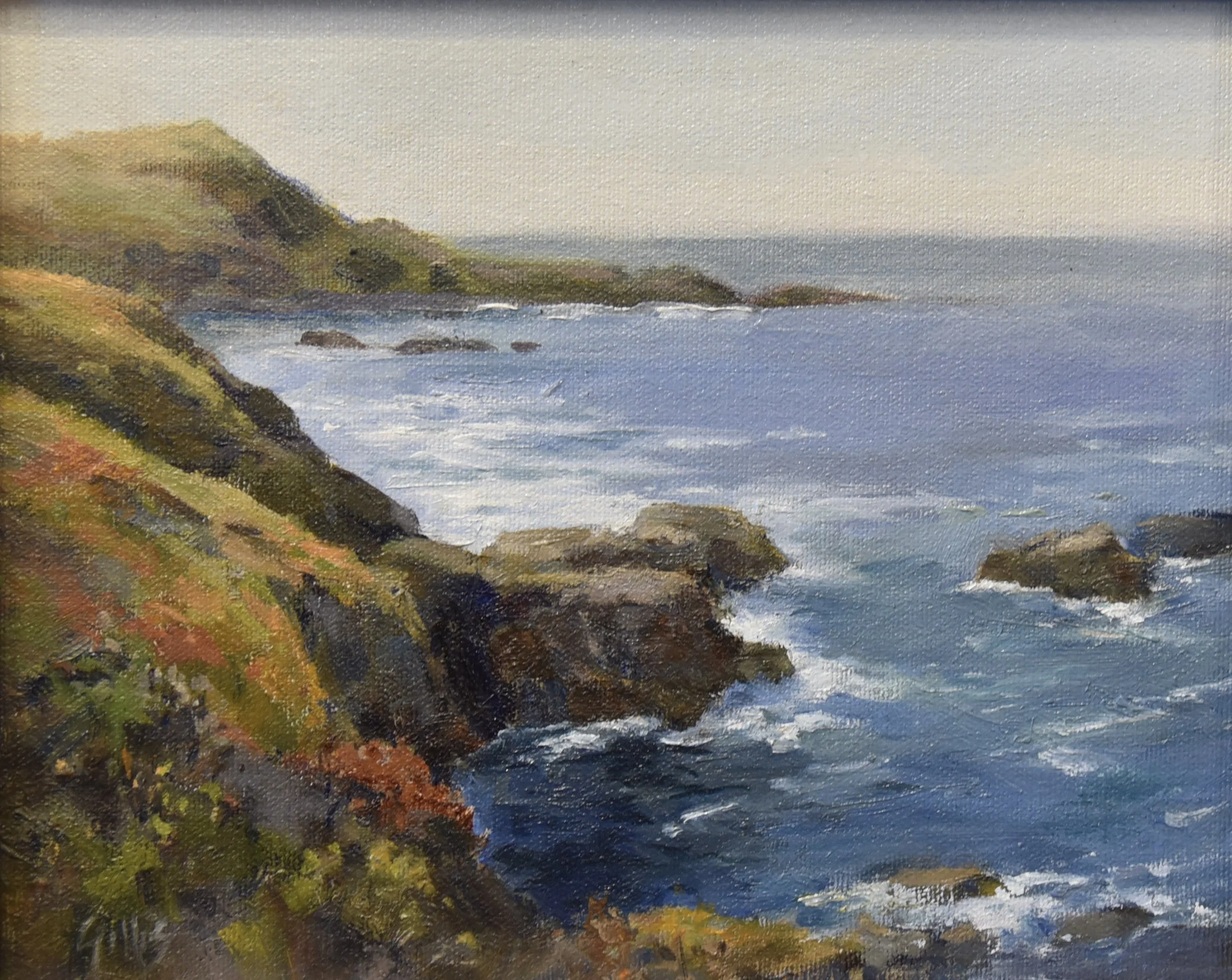 Cliffs at Garapatta Beach.jpg