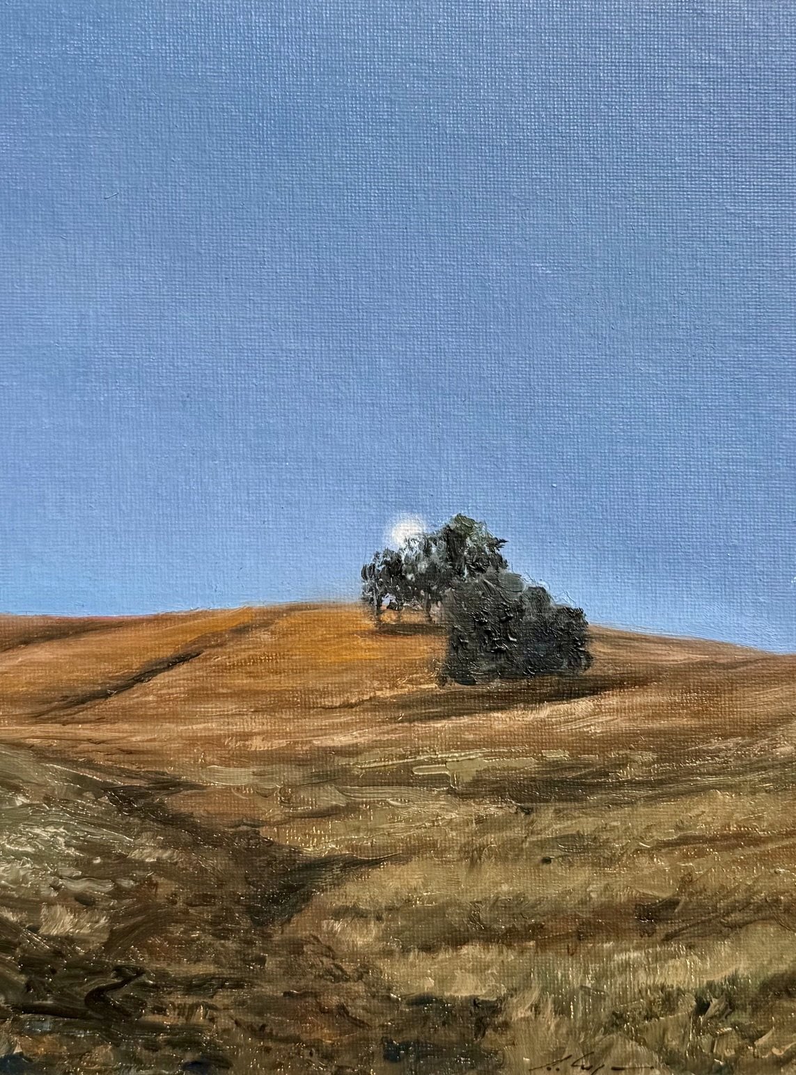 Moon Rise, O'Neals 8x10 625.jpeg