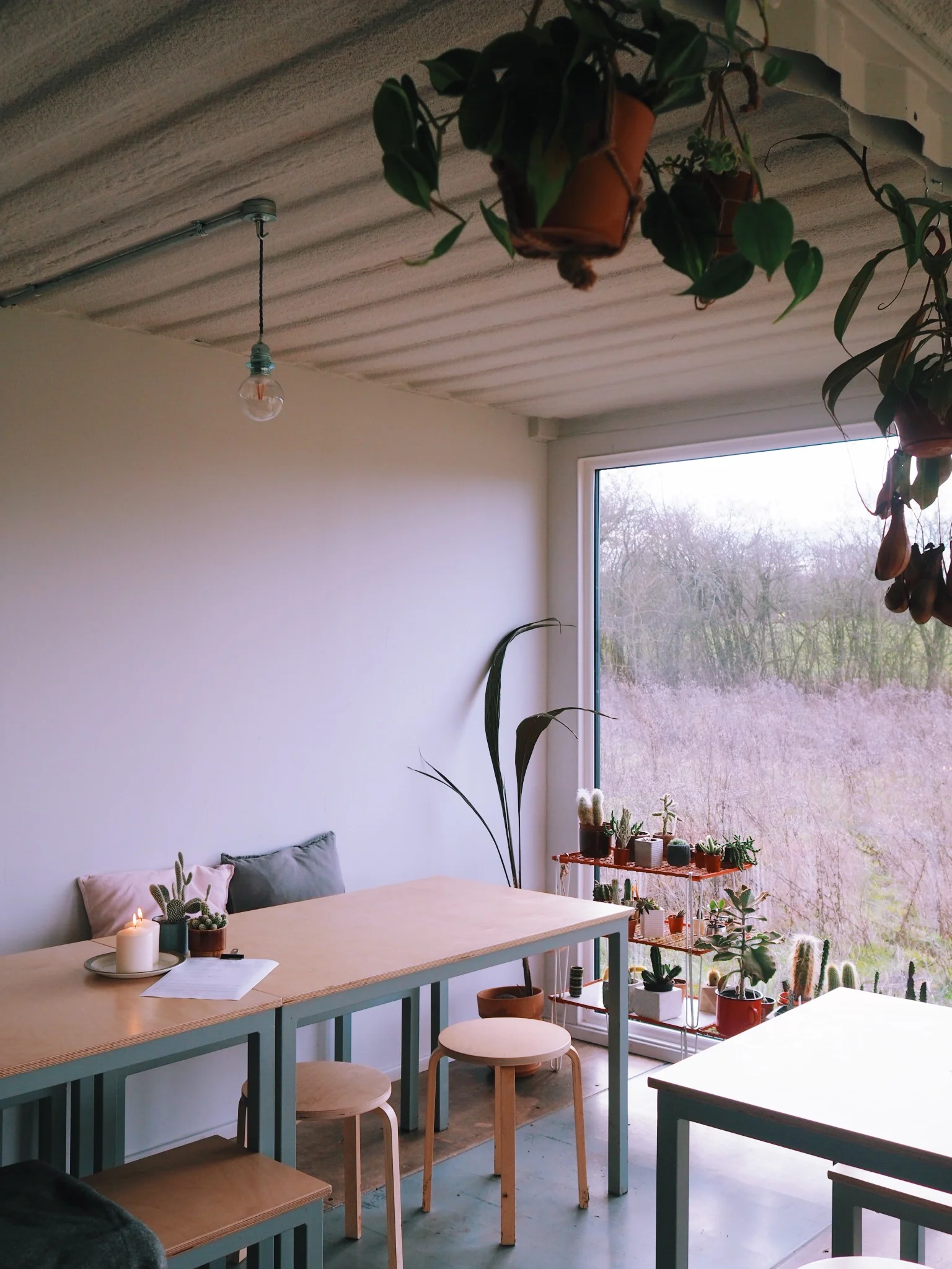 Meadow views