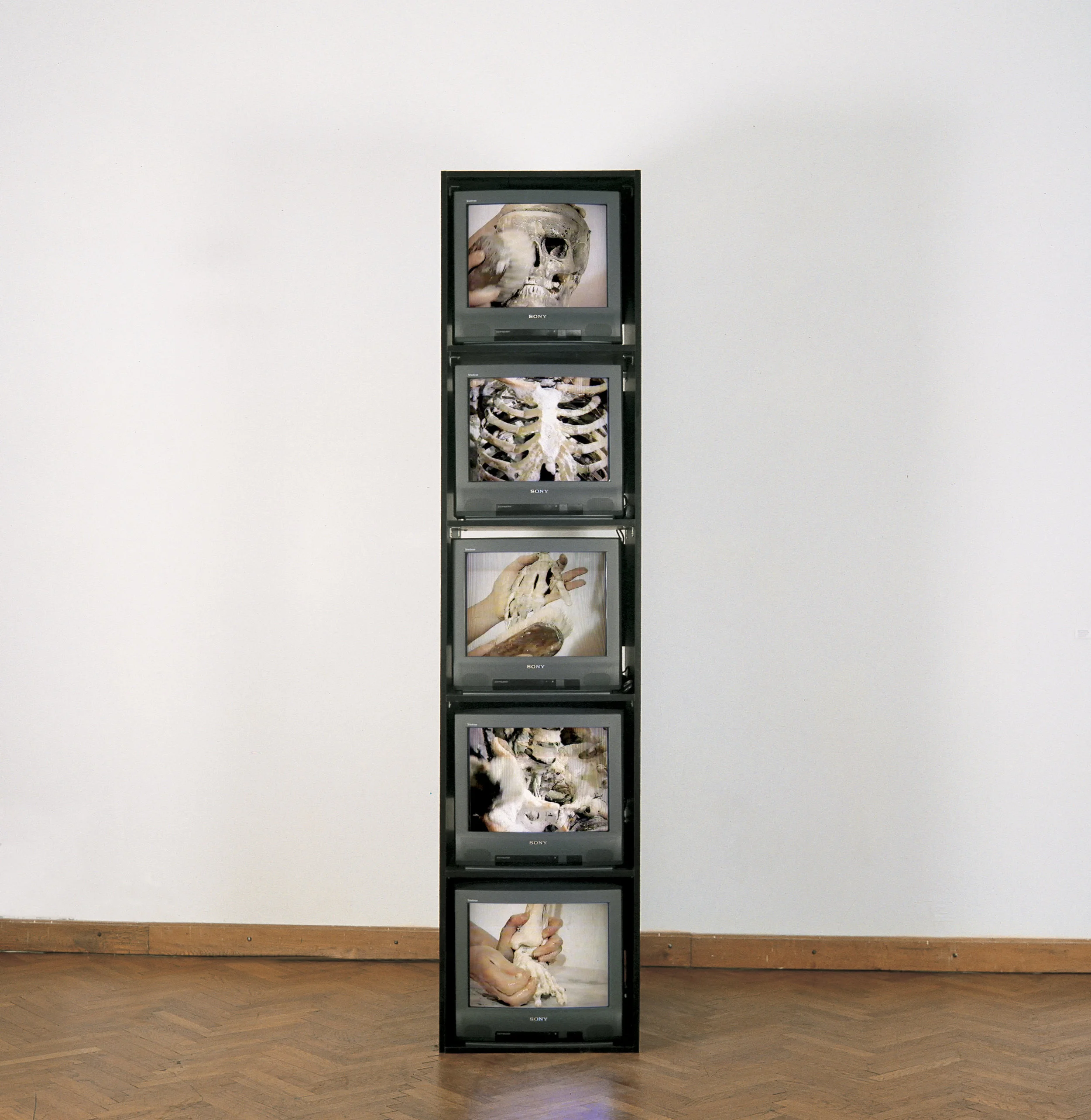 Abramovic Marina.jpg