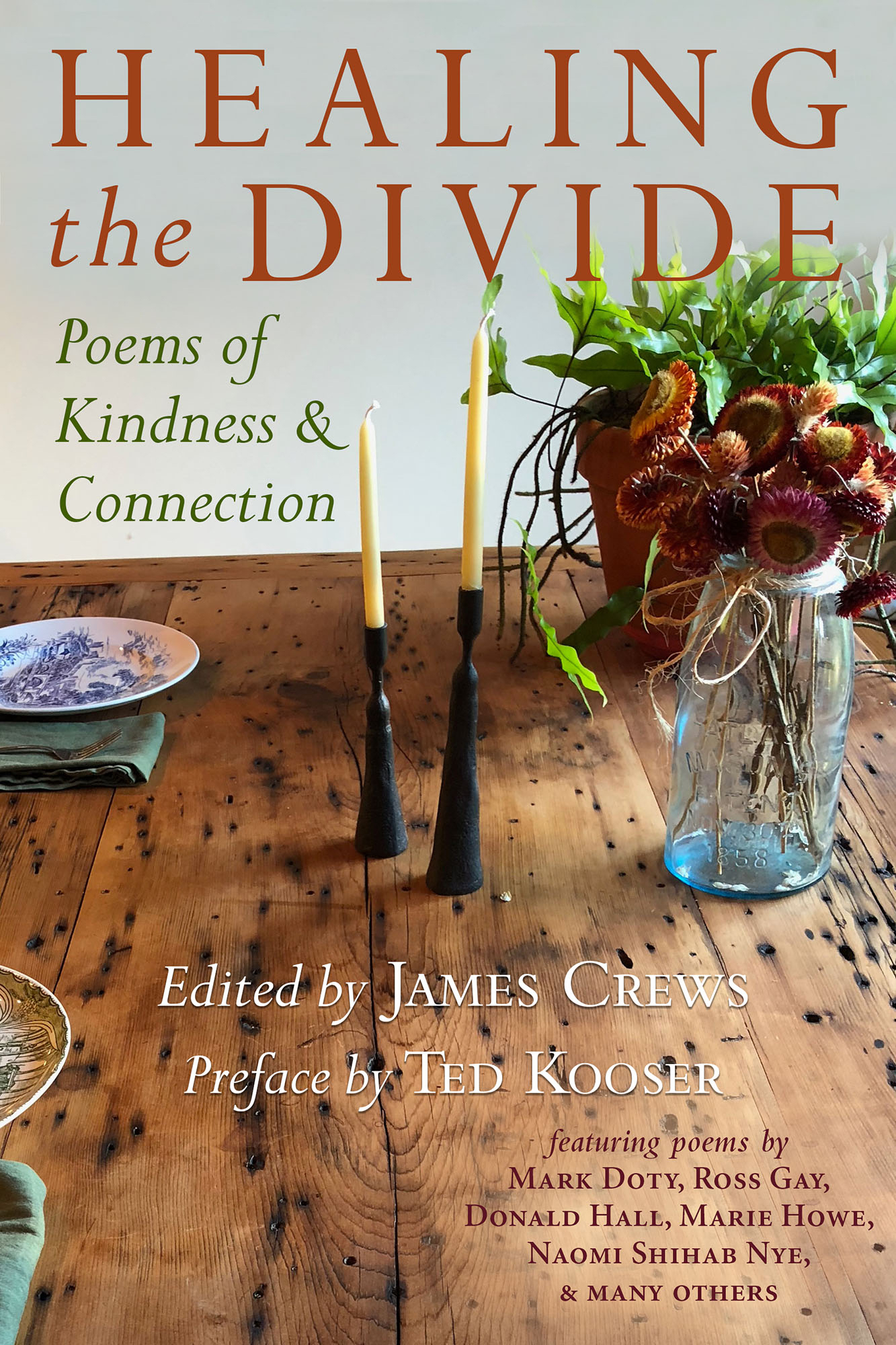   Healing the Divide , edited by James Crews   (Green Writers Press) 