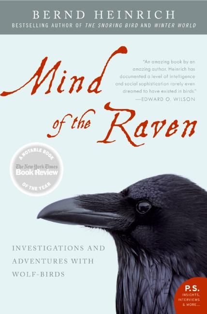 heinrich - mind of the raven.jpg