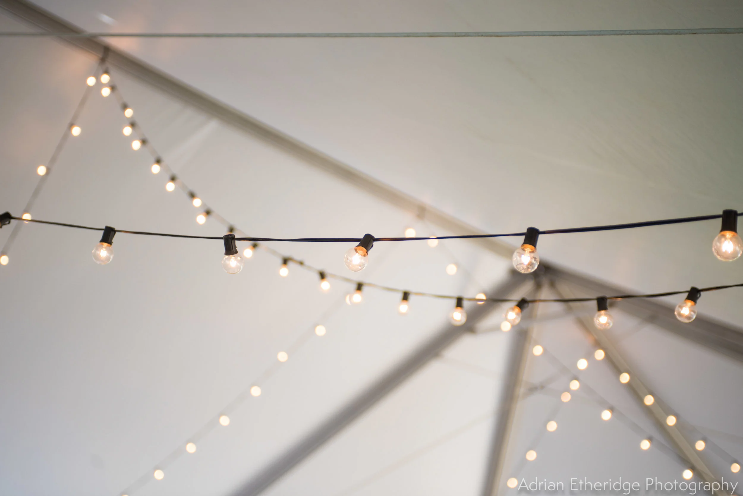 Alex Zack Wedding Vendors Blog-19.jpg