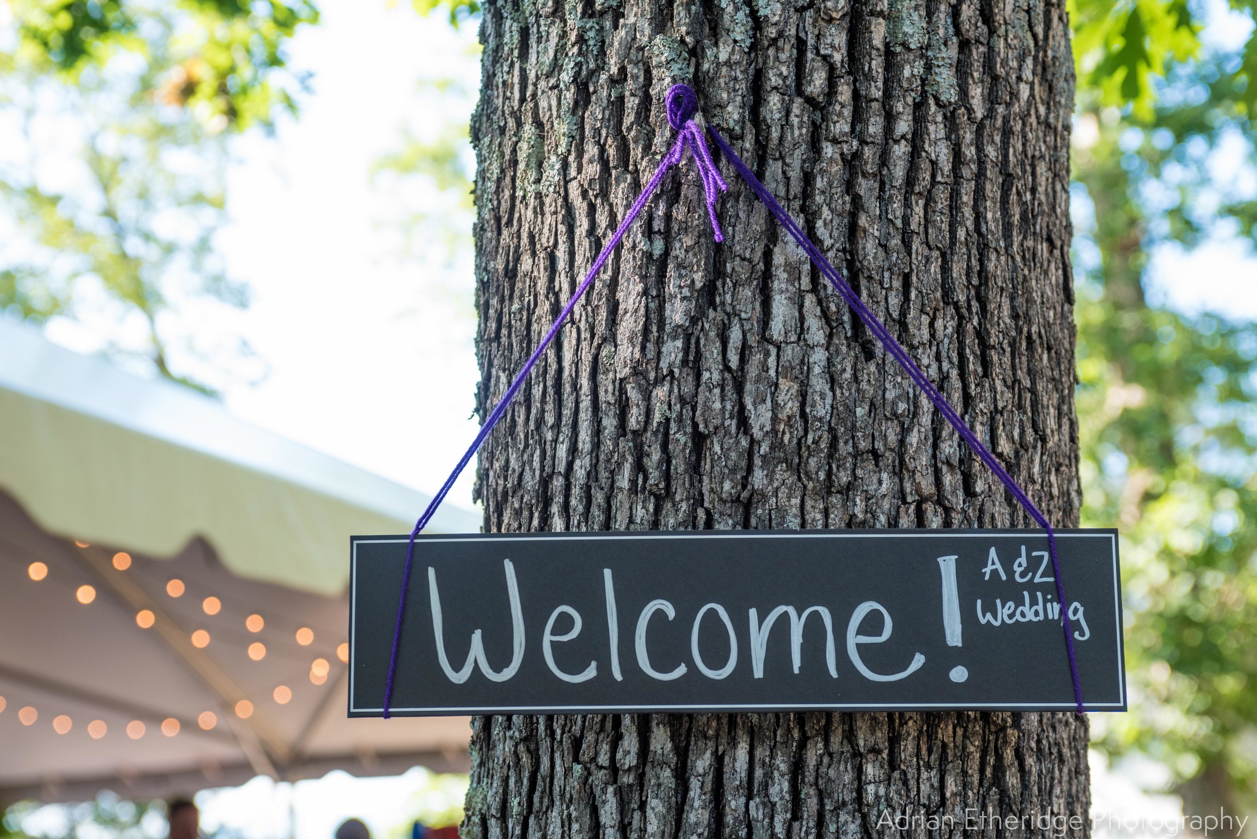 Alex Zack Wedding Vendors Blog-23.jpg
