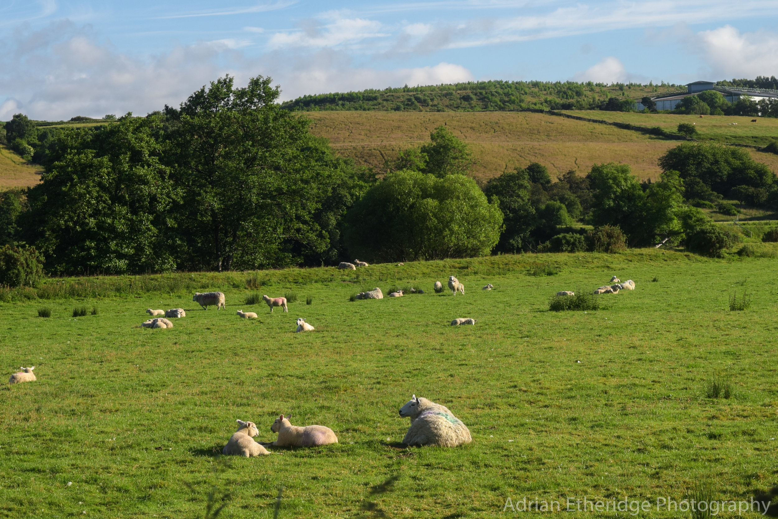 Scotland Day 56-9.jpg