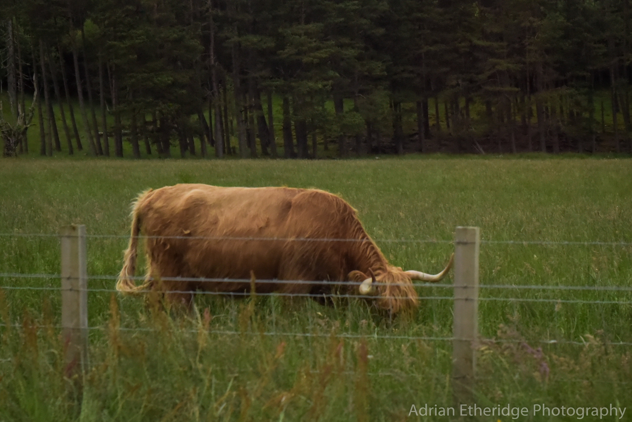 Scotland Day 56-30.jpg